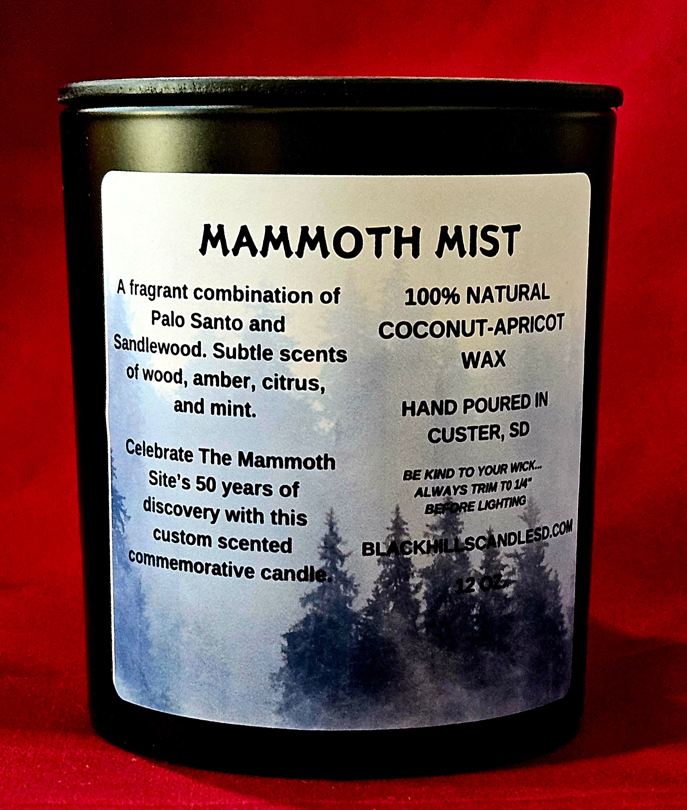 50th Anniversary Candle