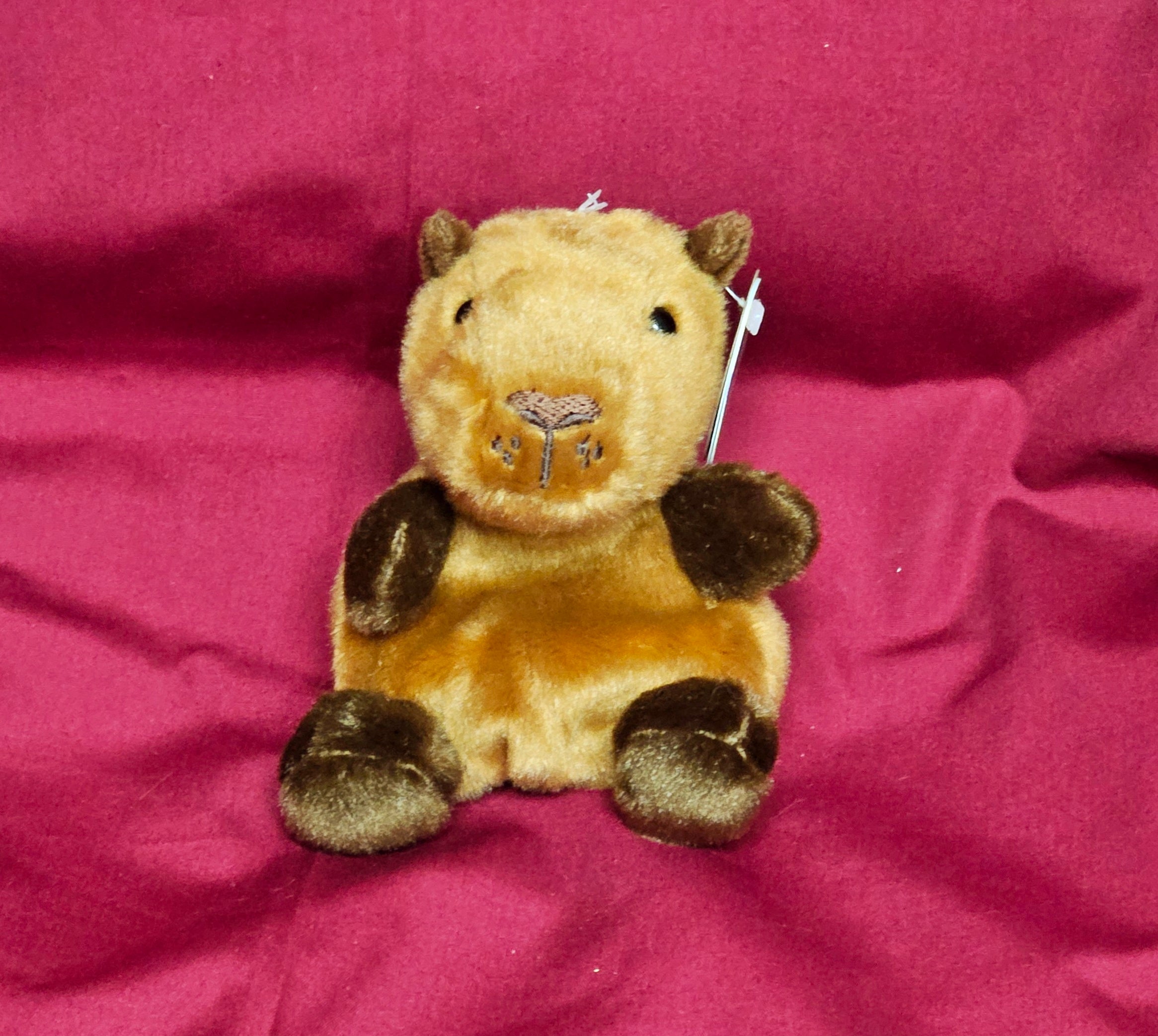 33839 5" Sid Capybara Palm Pal