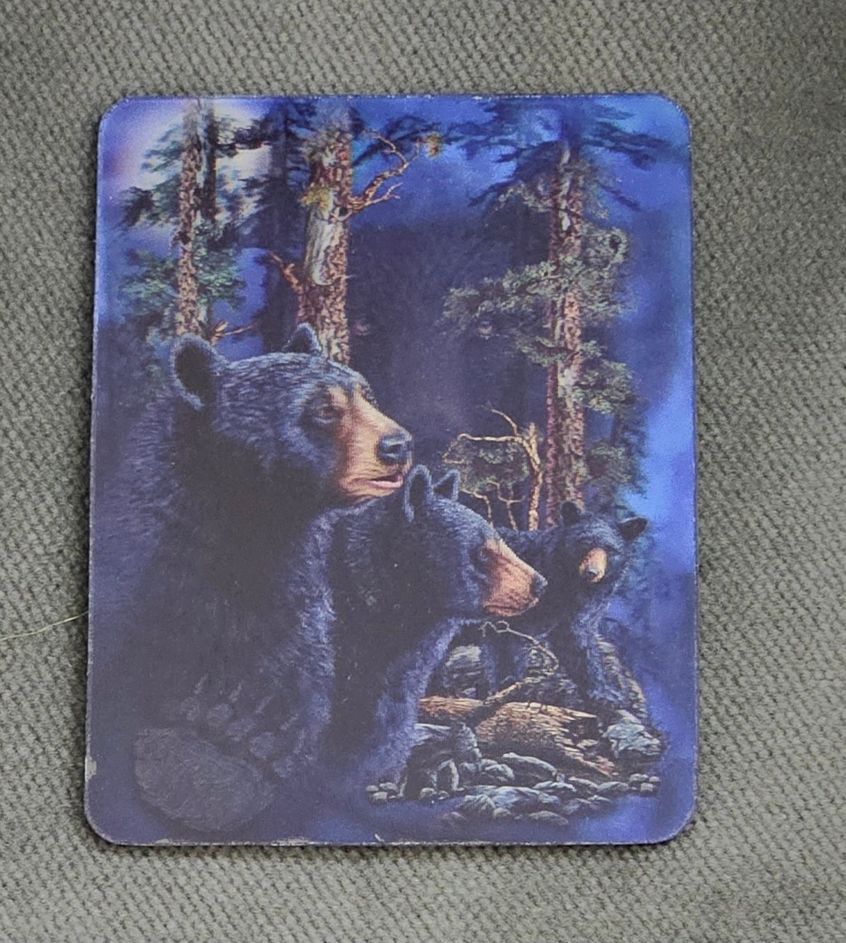 47189 3DM Black Bears Magnet