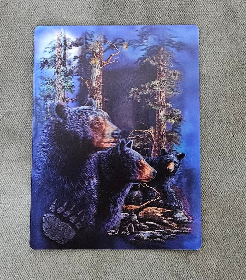 47189 3DP Black Bears Postcard