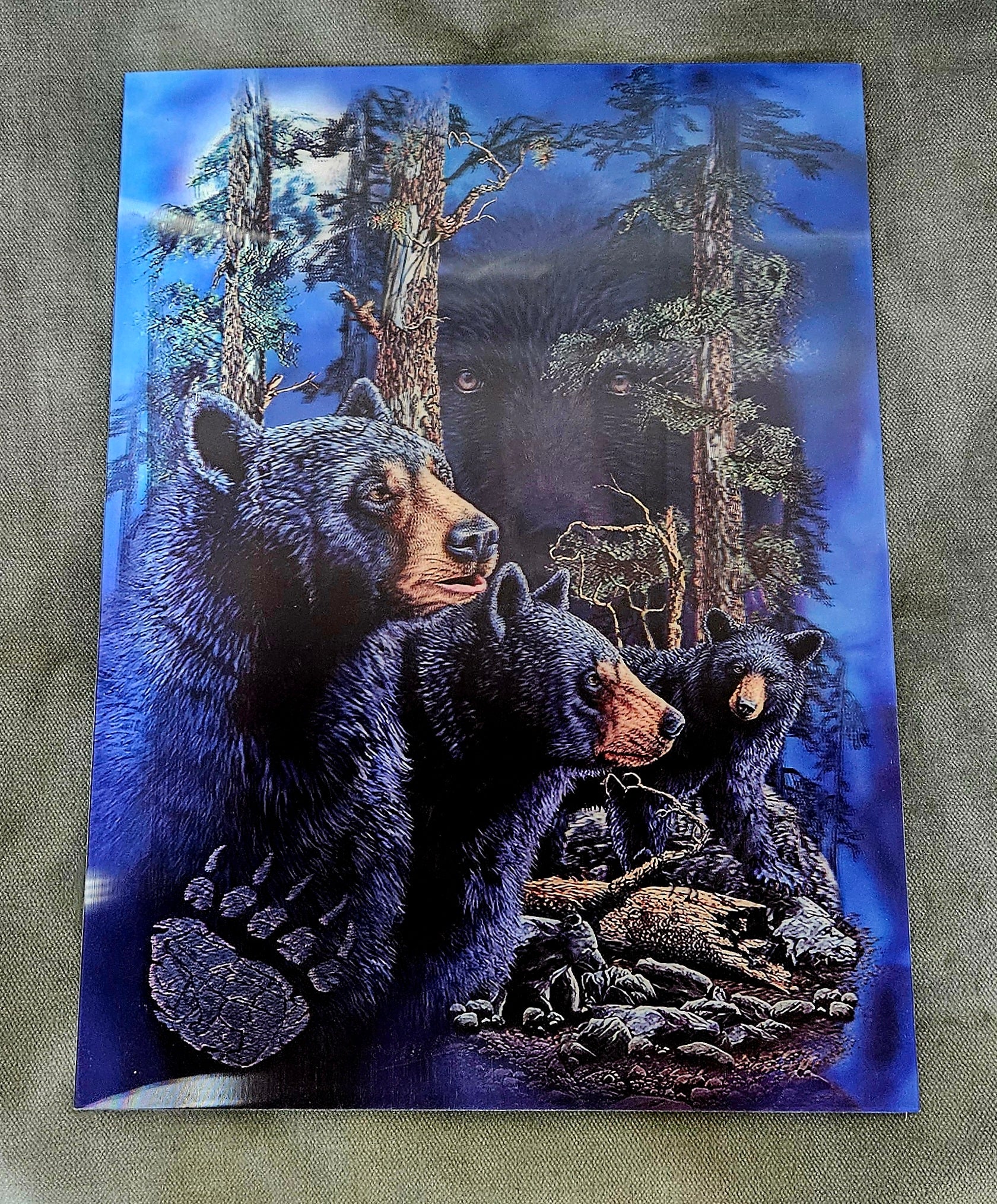 47189 3DF Black Bears Poster