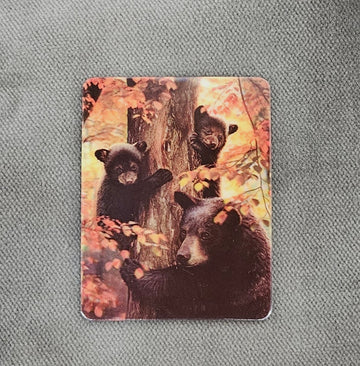 47376 3DM Black Bear and Cub Magnet