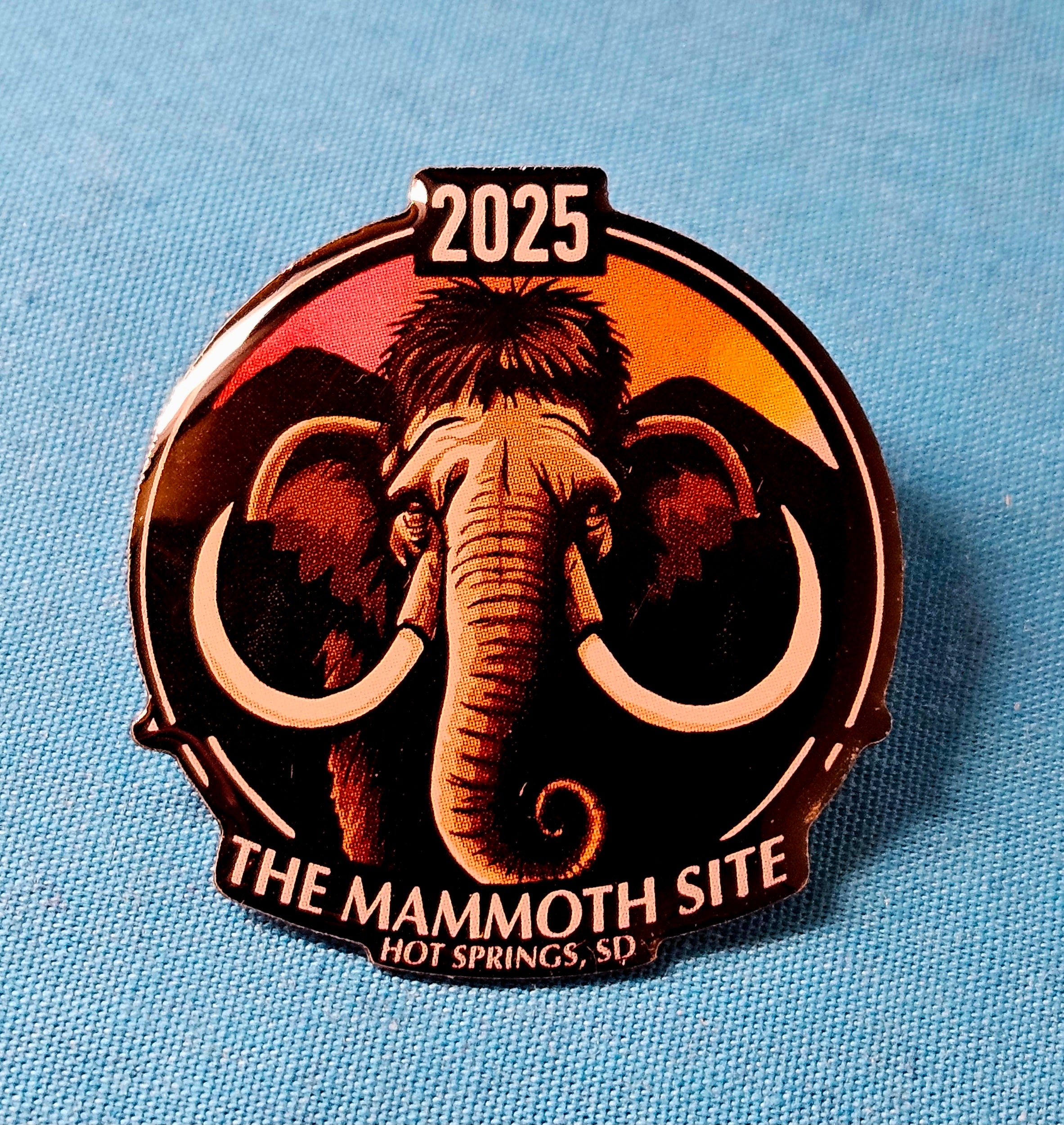 2025 Membership Pin
