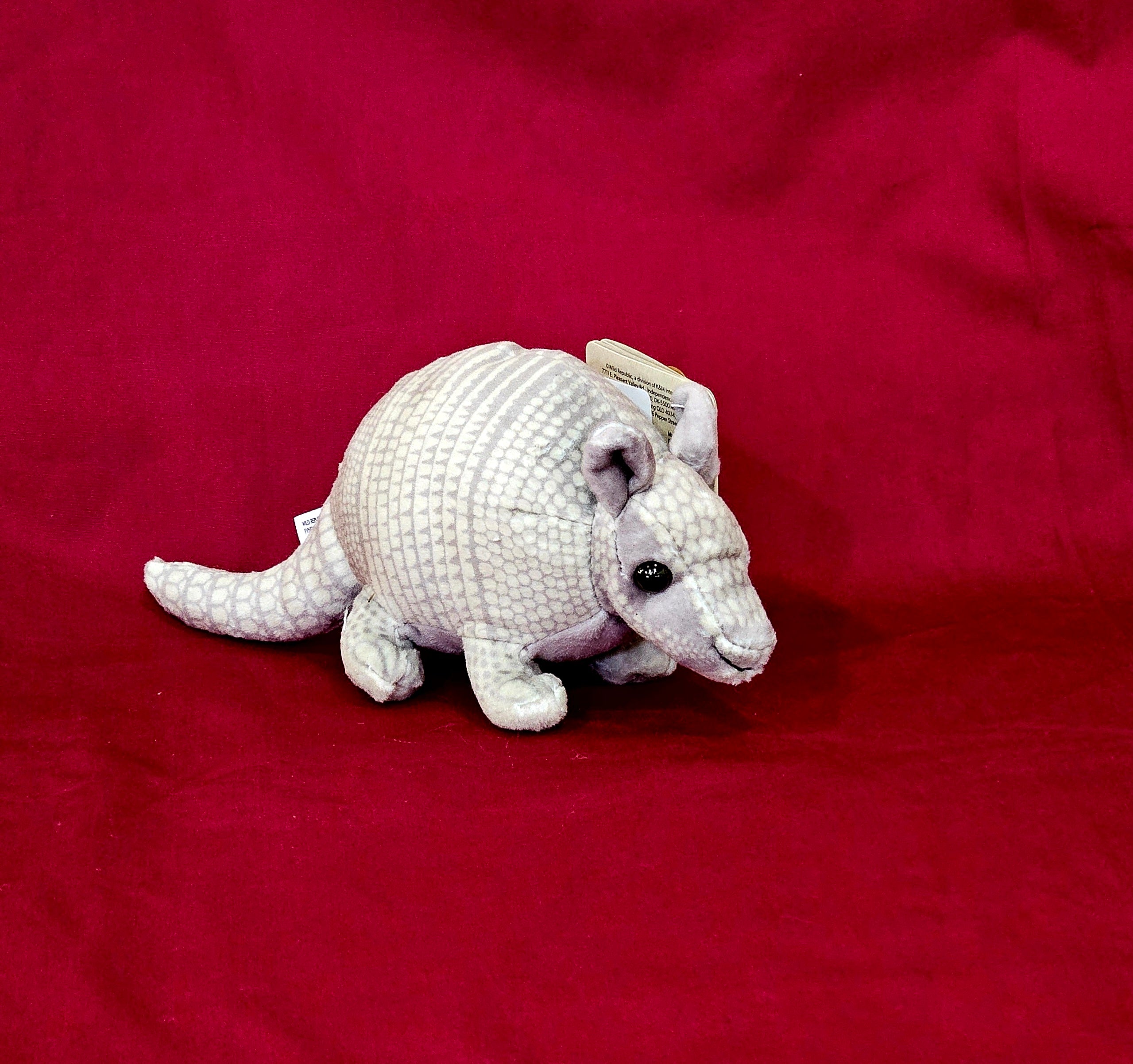 27797 5" Pocketkins Eco Armadillo