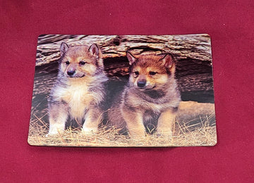 46676 3DP Gray Wolf Pups Postcard