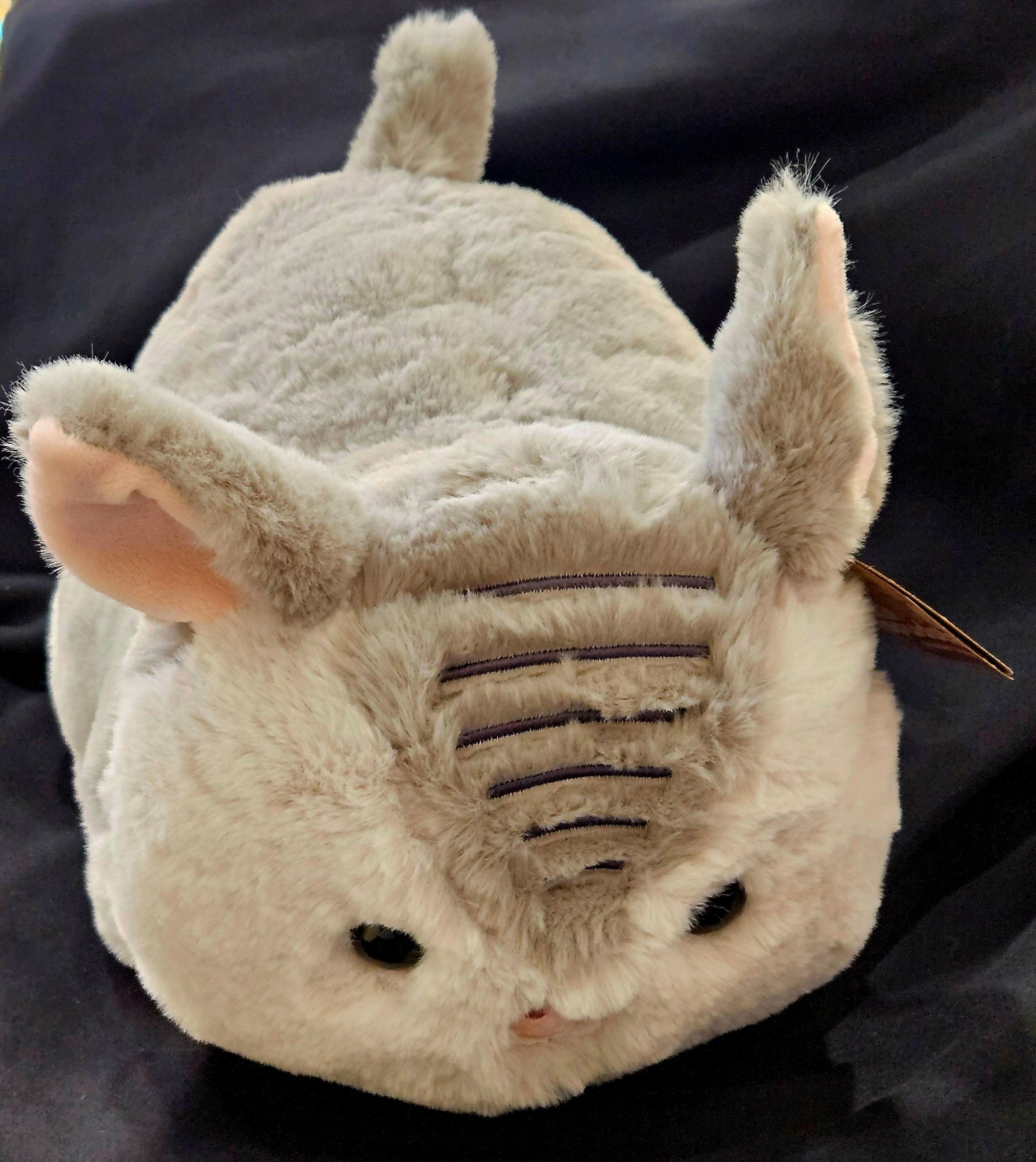 34386 10" Arnie Armadillo