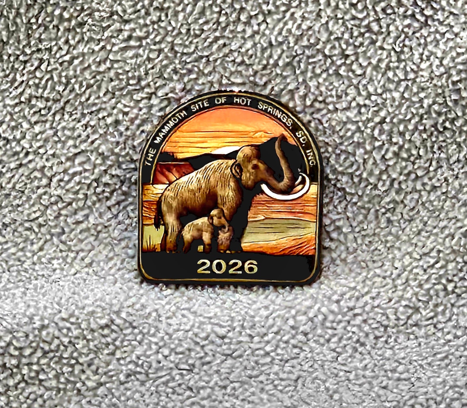 2026 Membership Pin