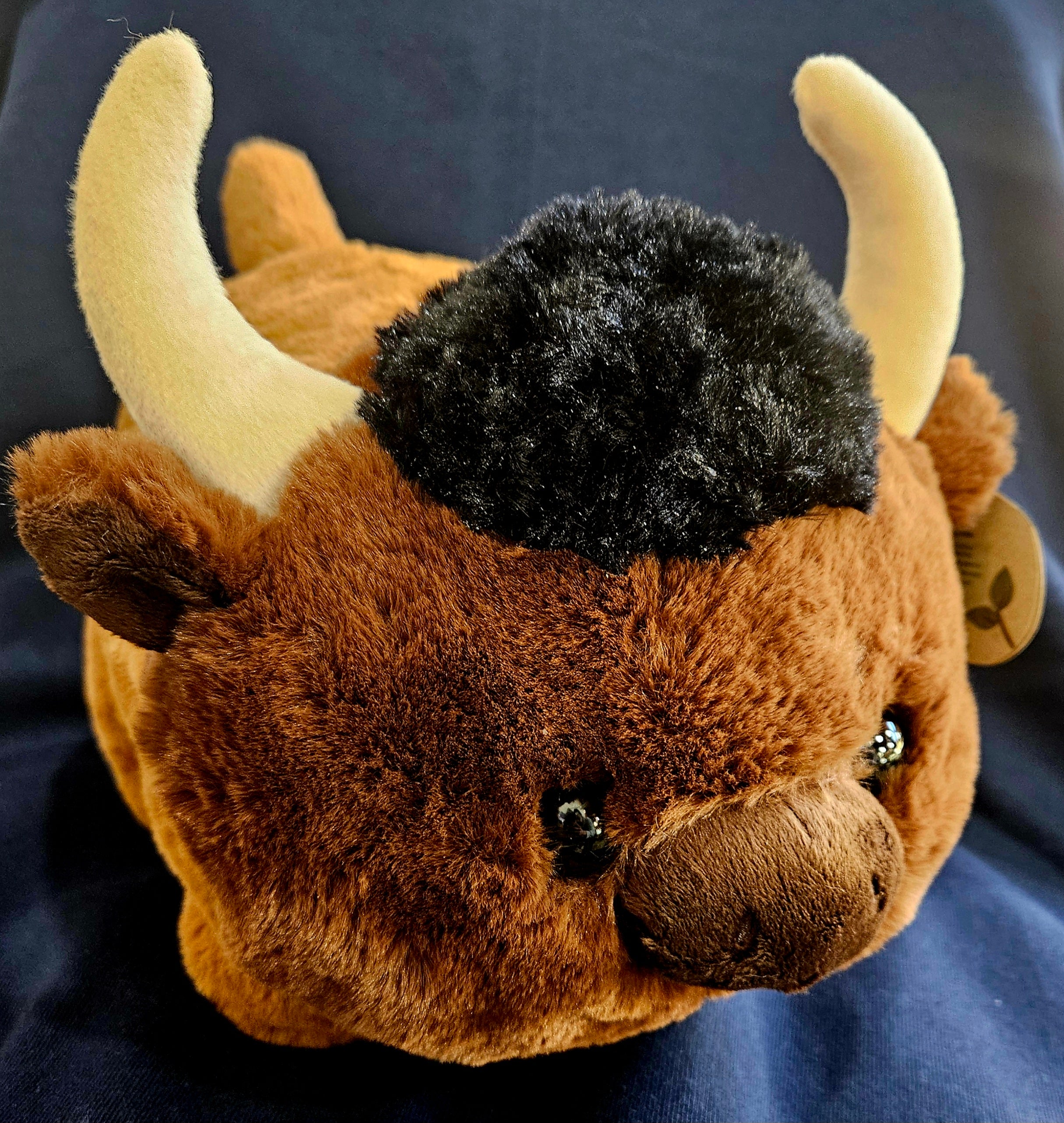 34429 10" Buddy Bison