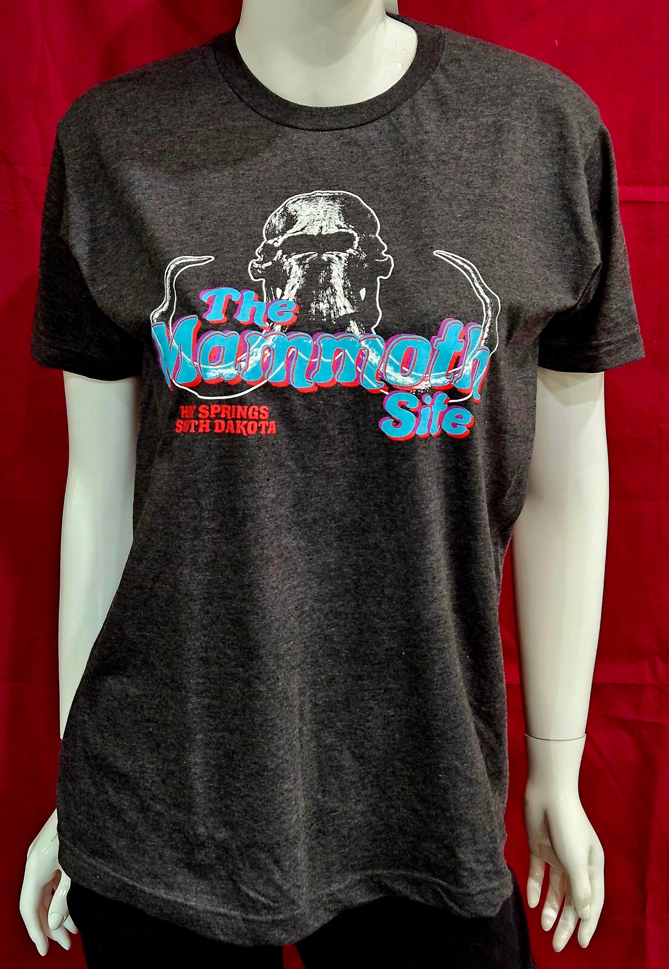 Graphite Retro T-Shirt