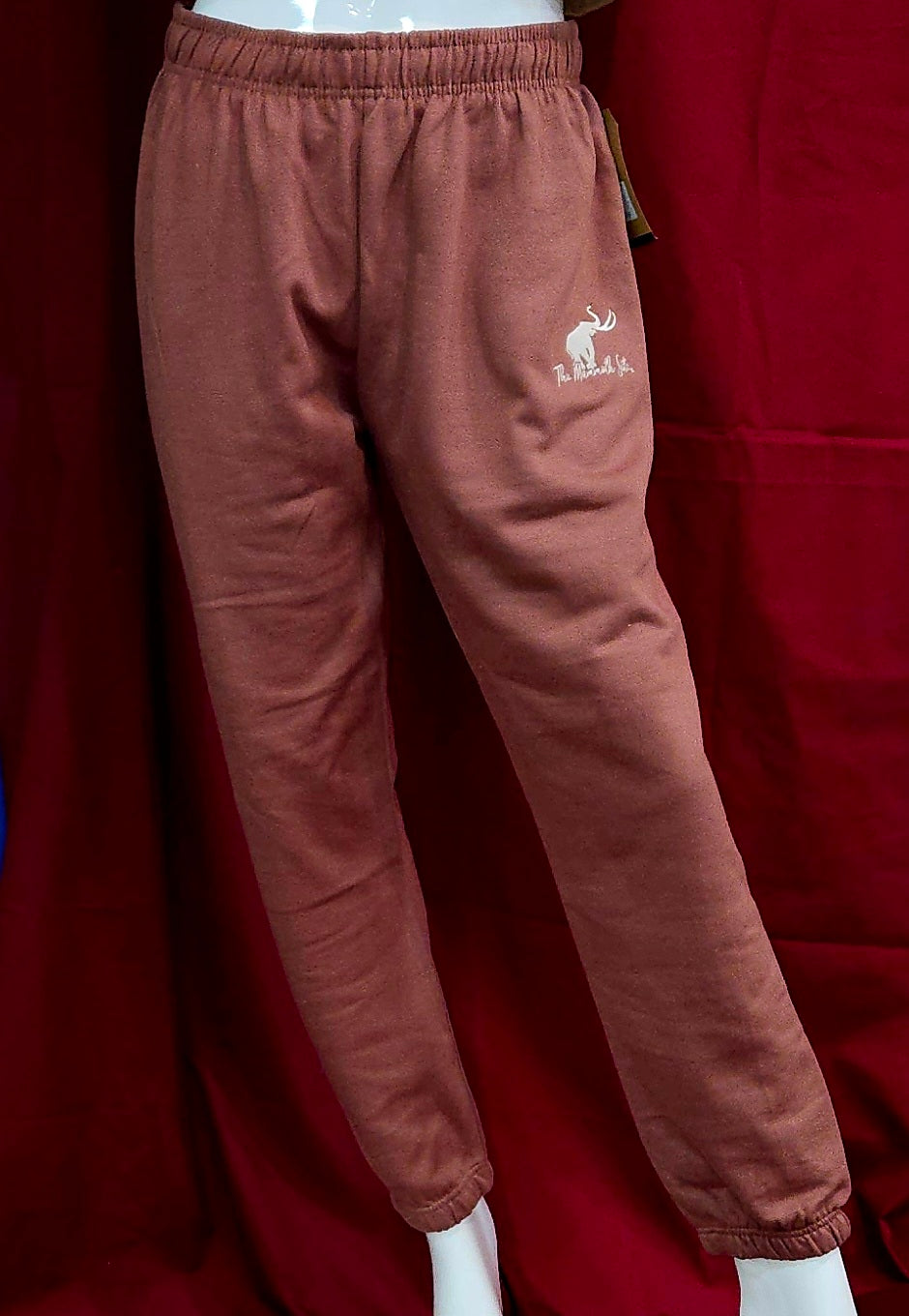 20337 Men's Fundamental Fleece Pants