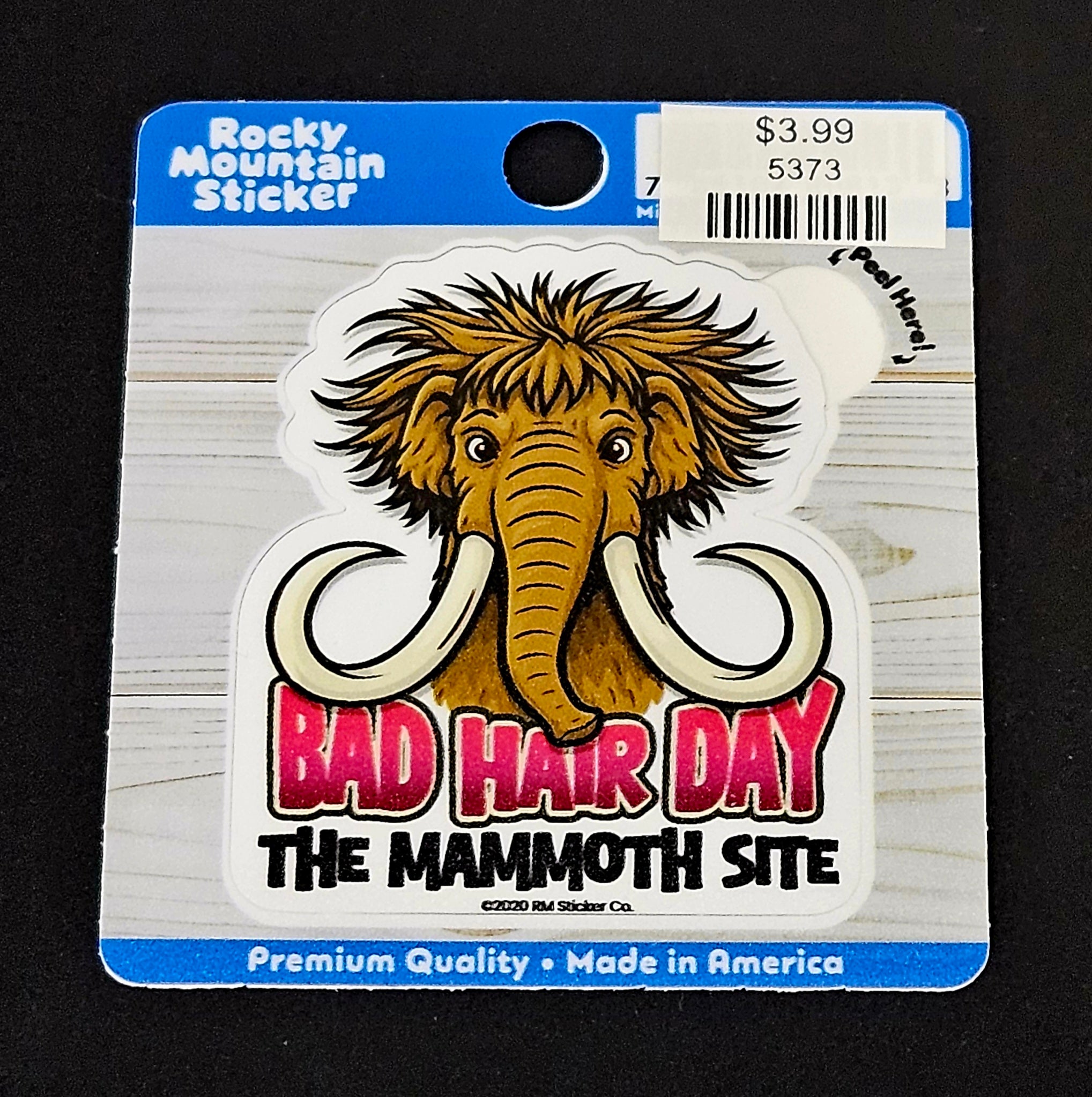 5373 Bad Hair Day Sticker