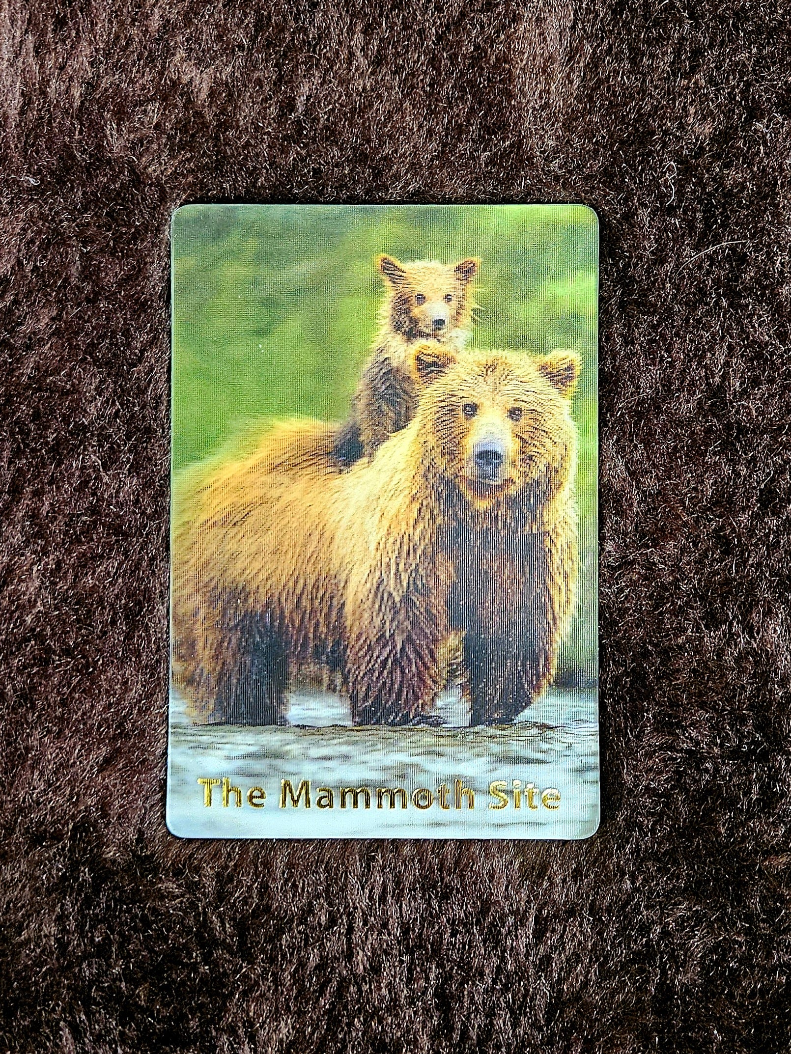 MG0224 Bear Brown and Cub Magnet