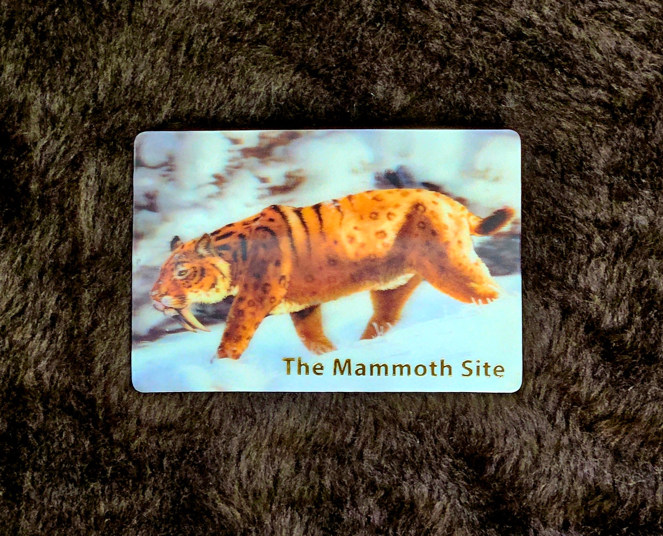 MG0162 Sabertooth Magnet