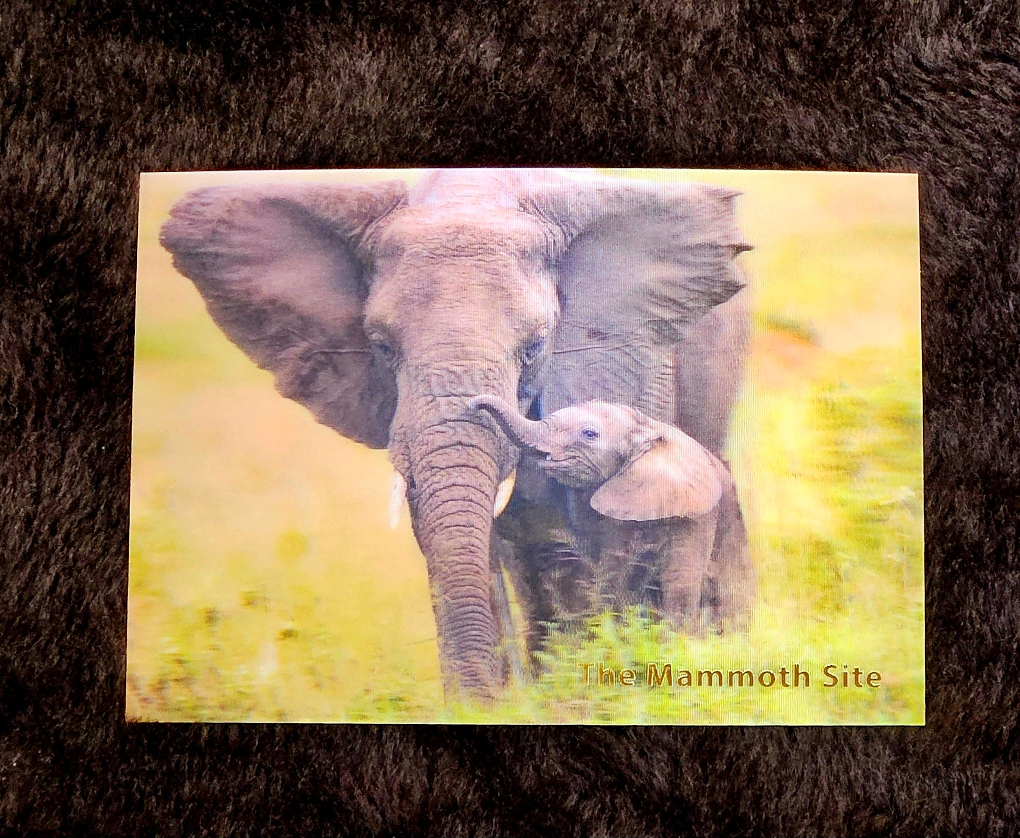 AC0945 Elephant African Mother and Calf Postcard