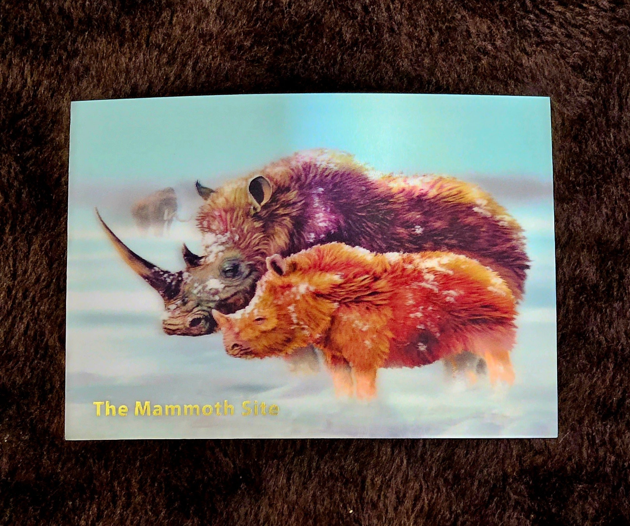 AC0414 Woolly Rhinoceros Postcard