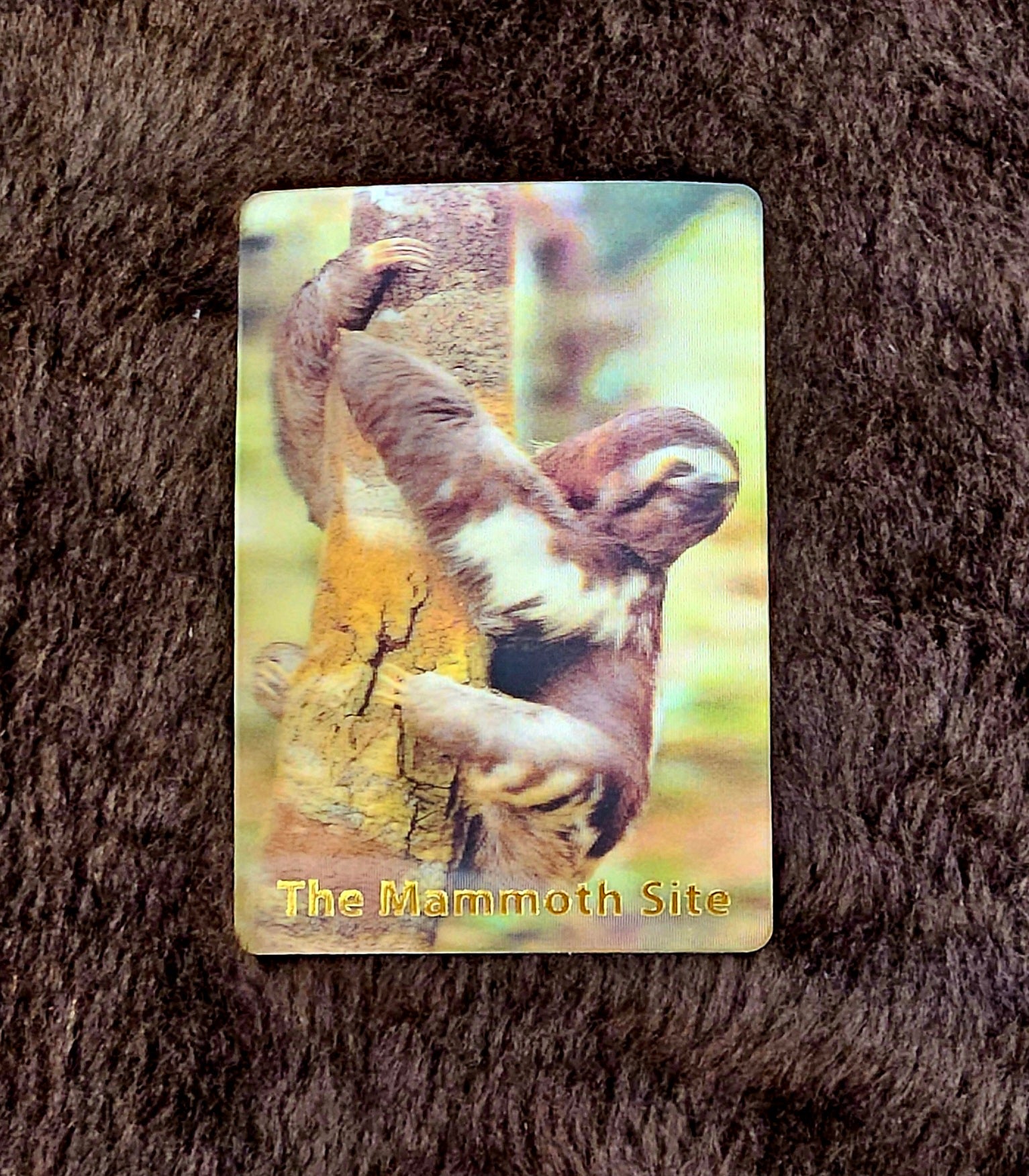 MG0181 Sloth Magnet