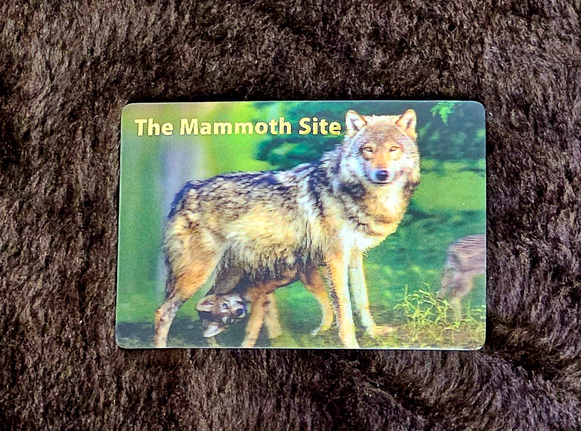 MG0080 Wolf and Pup Magnet