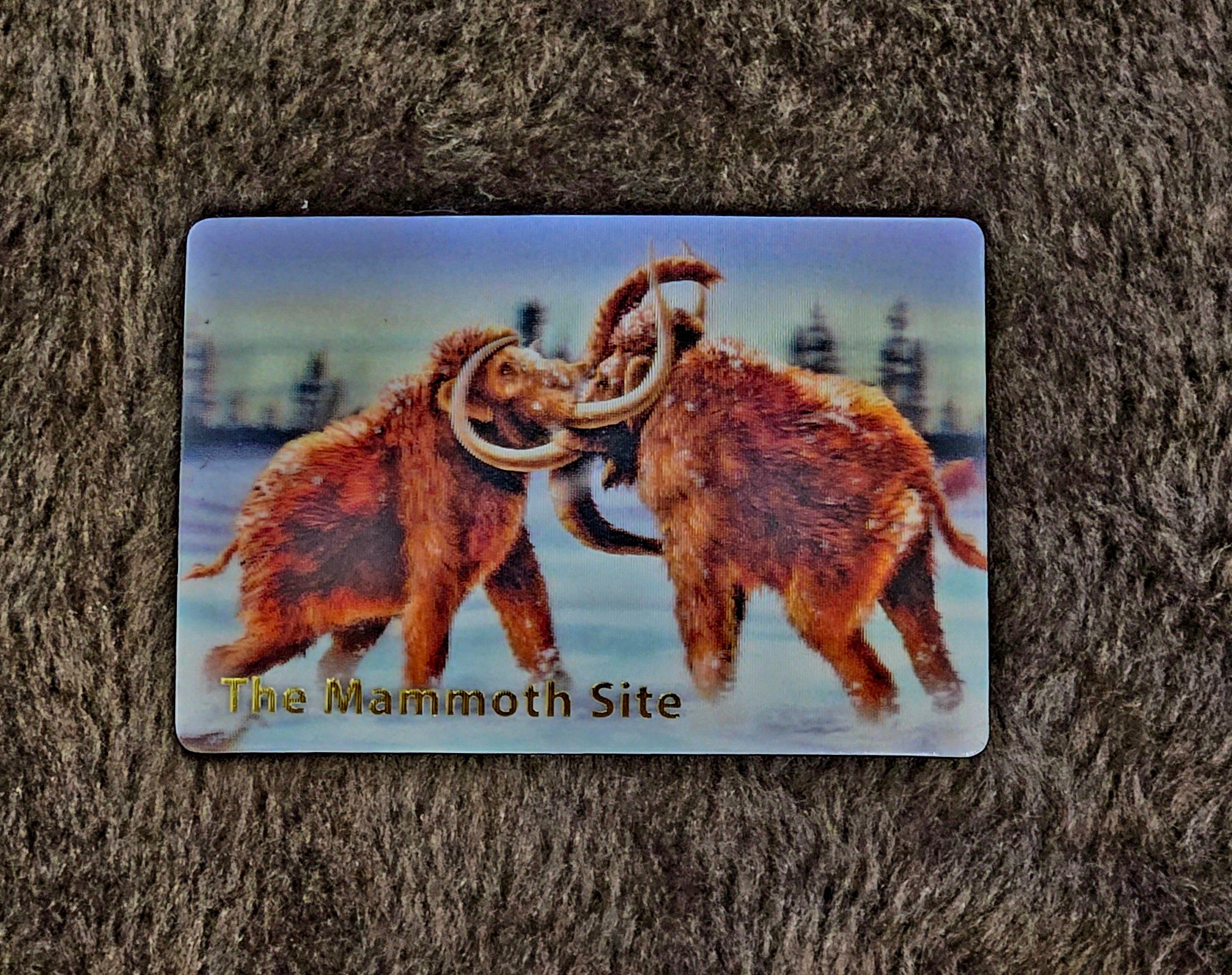 MG0163 Mammoth Fighting Magnet