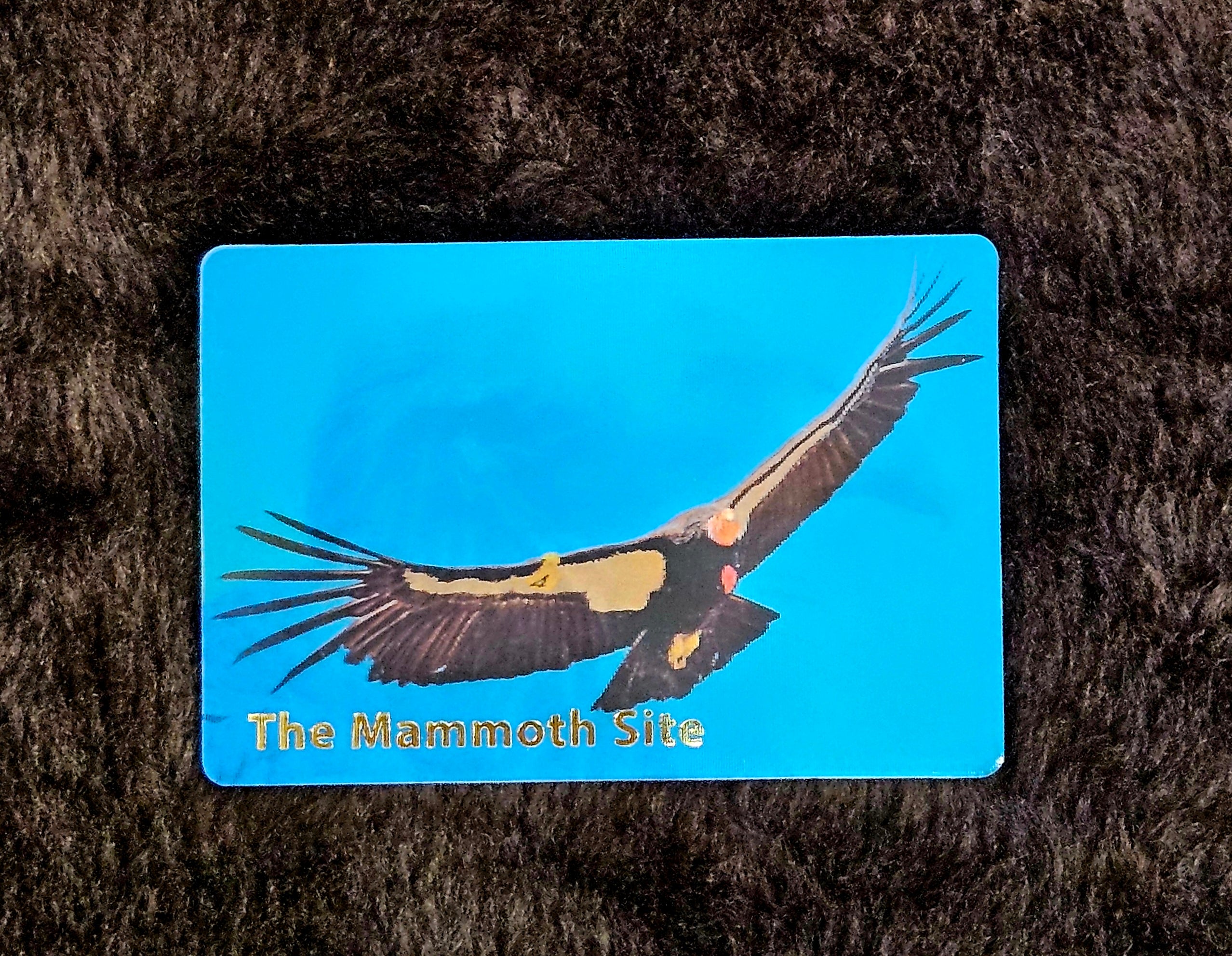 MG0288 Condor Magnet