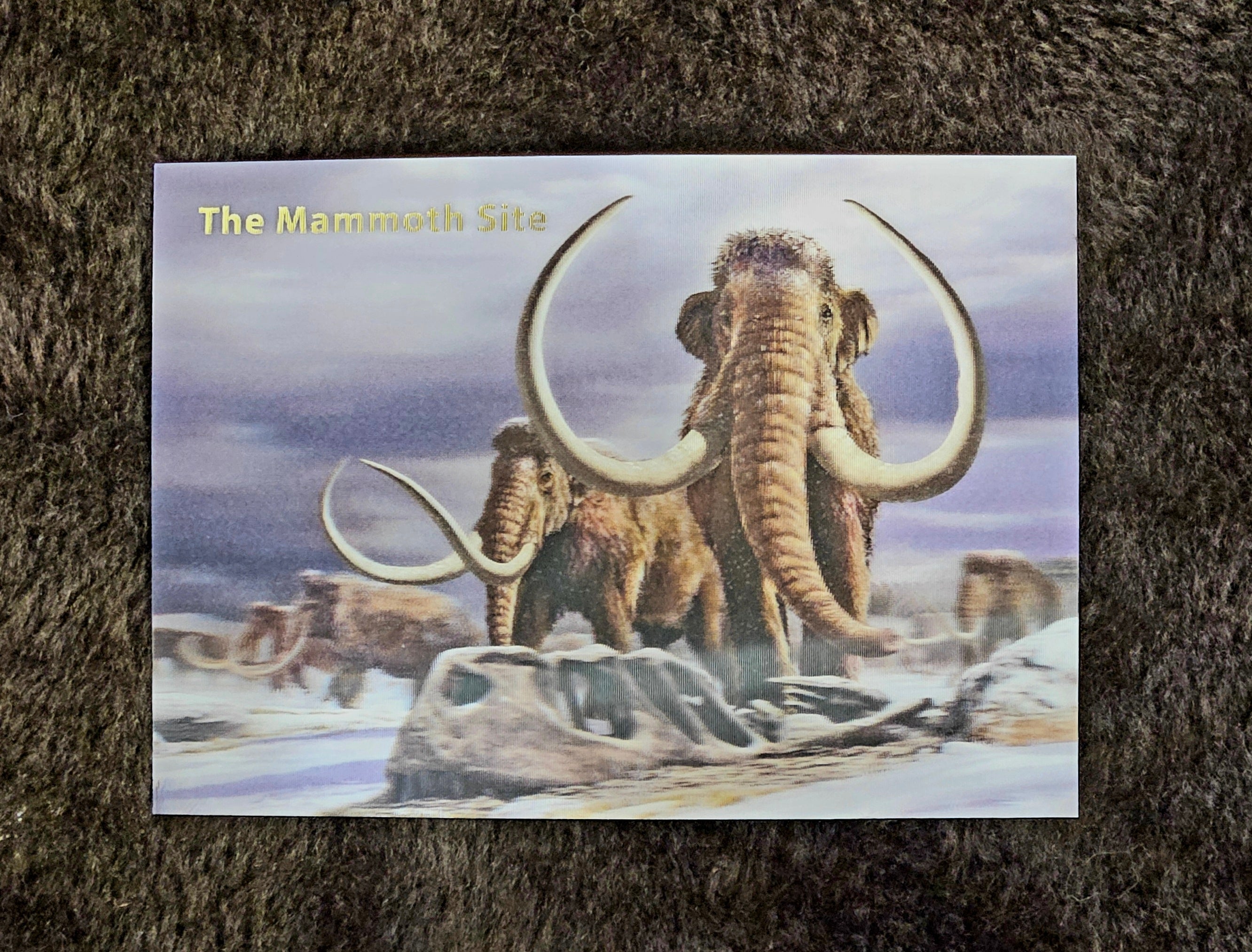 AC1172 Mammoth Herd Postcard
