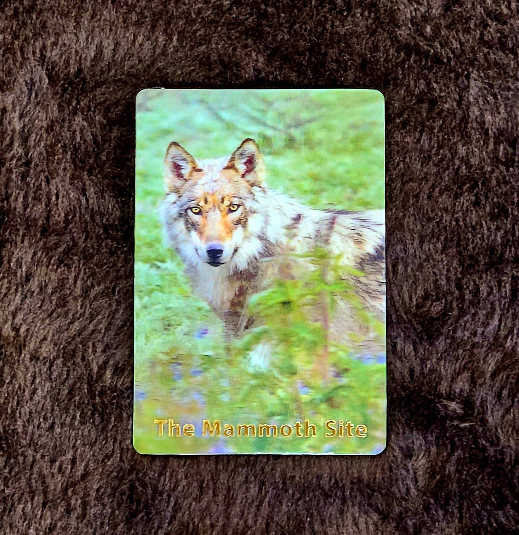 MG0106 Wolf and Flowers Magnet