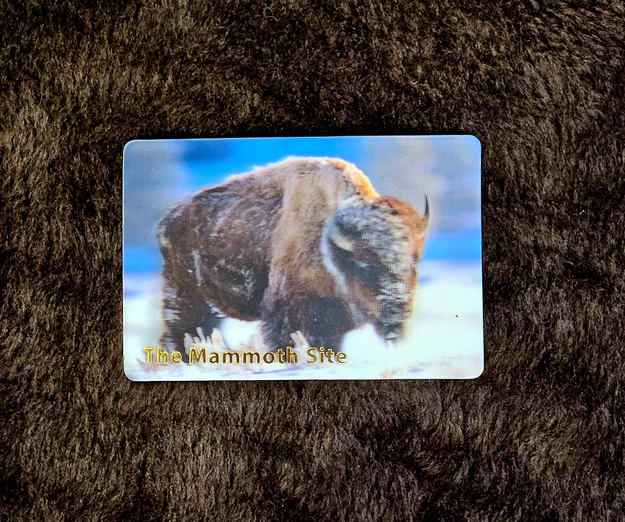 MG0136 Bison in Snow Magnet