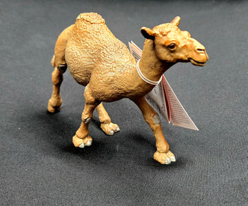 222429 Dromedary Camel Figurine