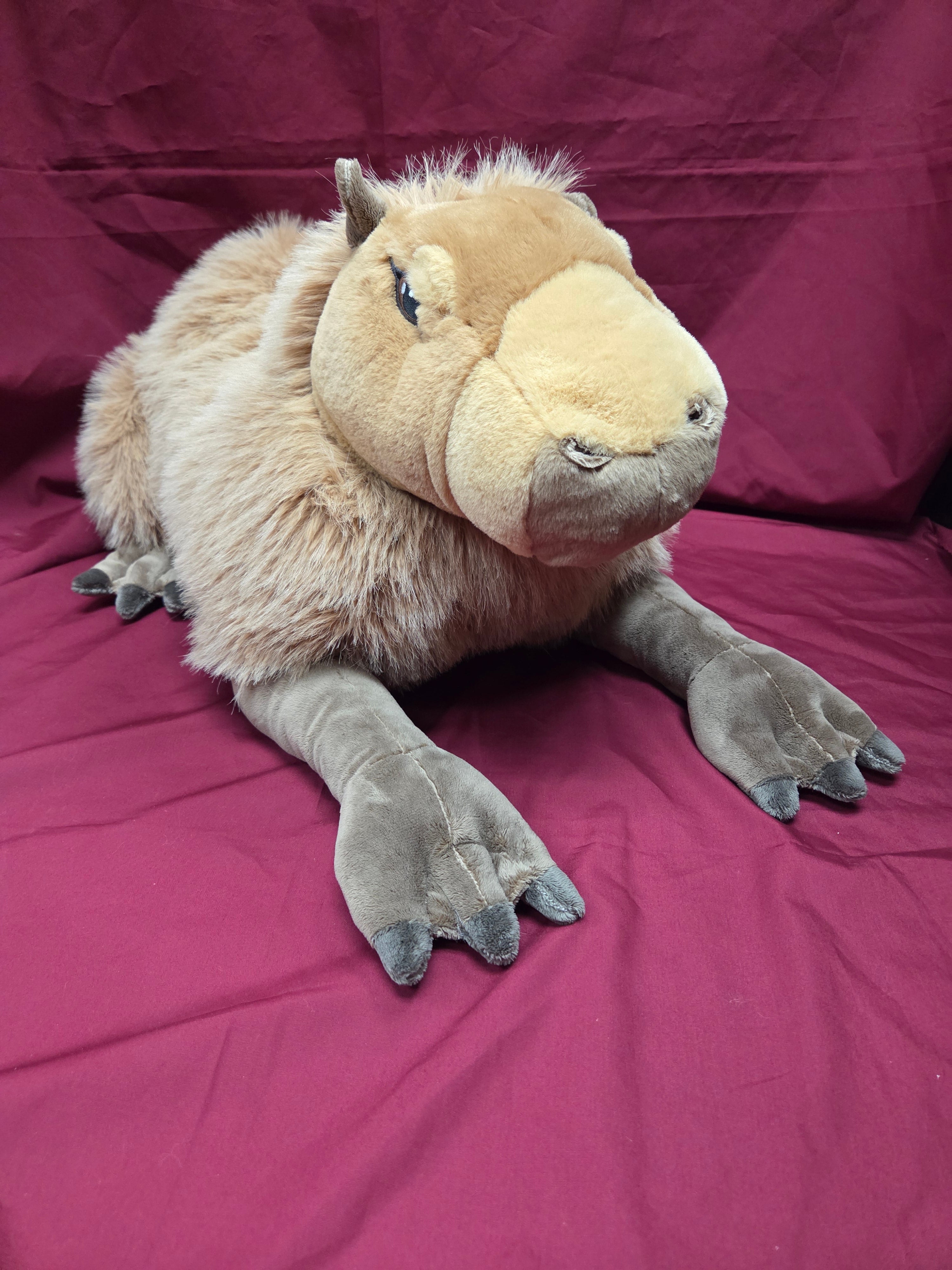 28236 CK Jumbo Capybara