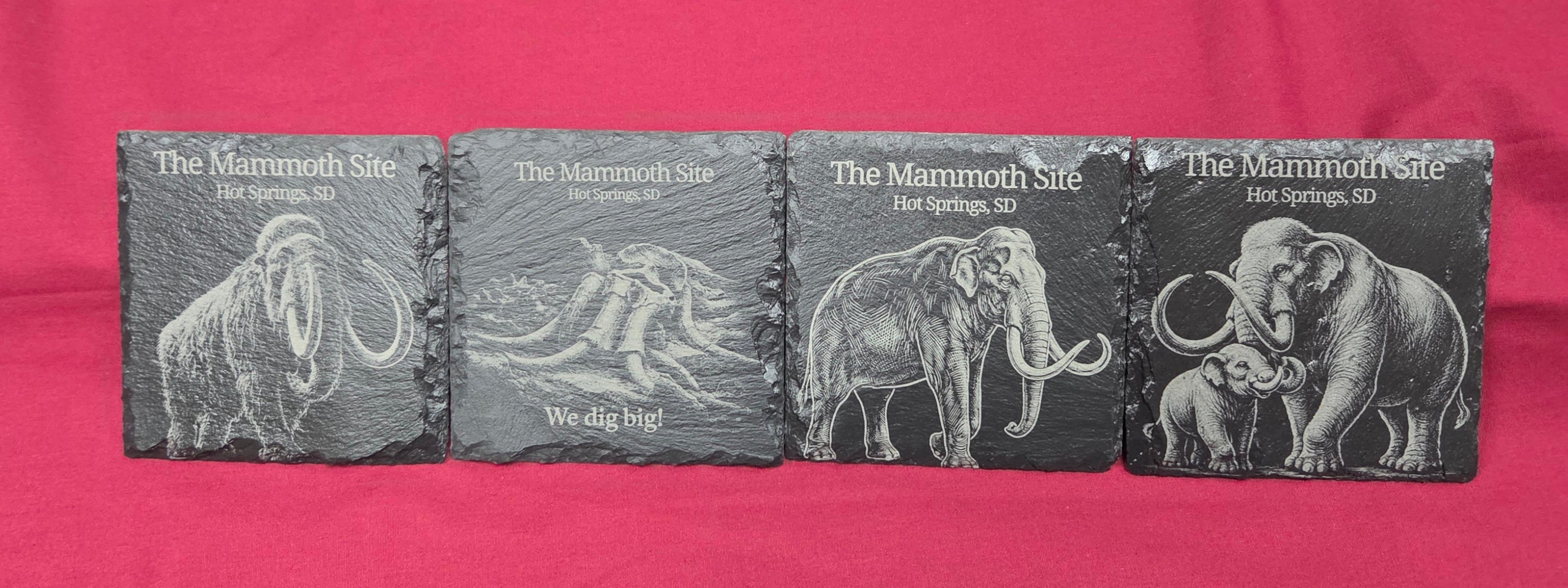 Mammoth Slate Coasters