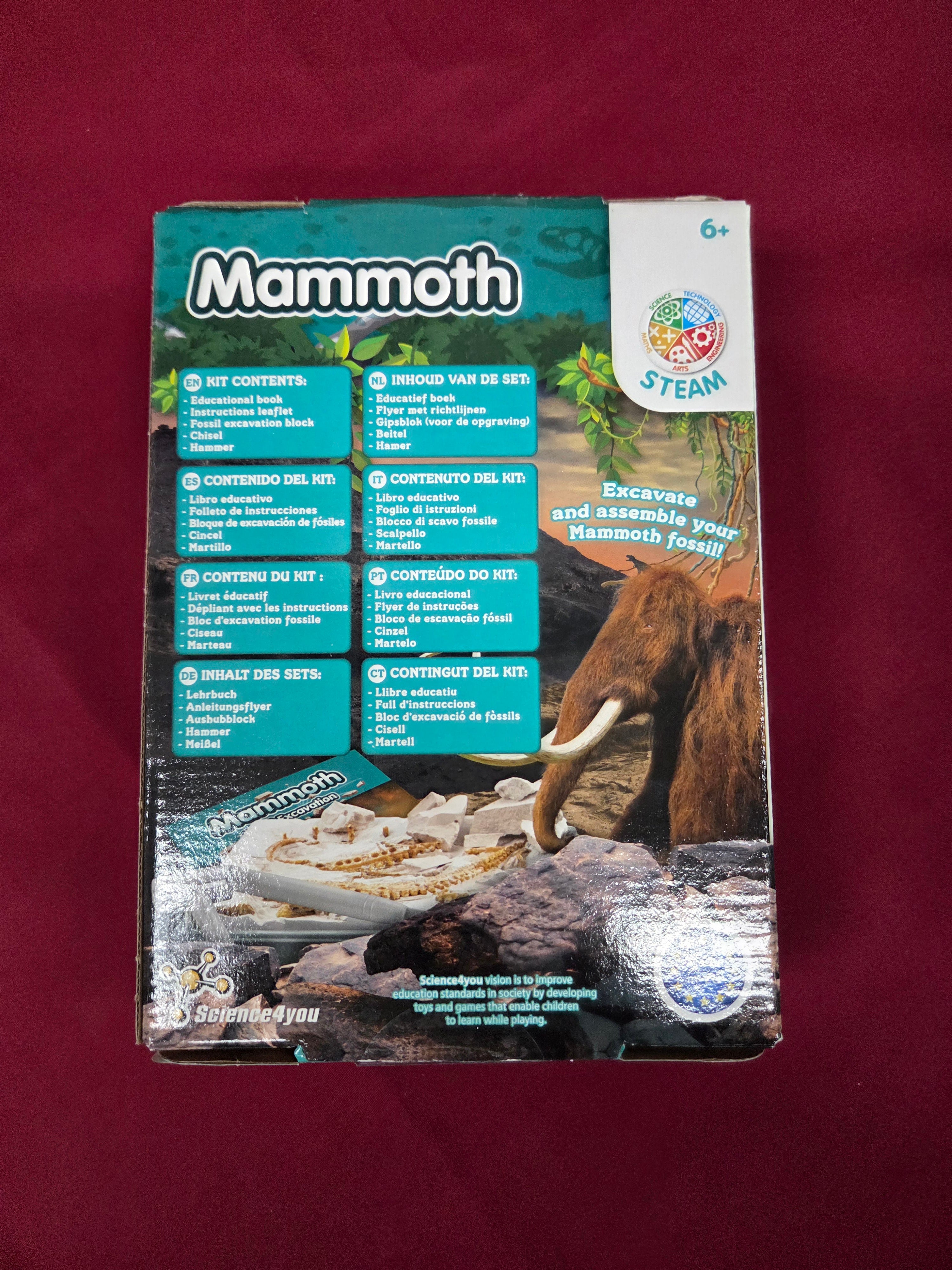 Mammoth Fossil Excavation