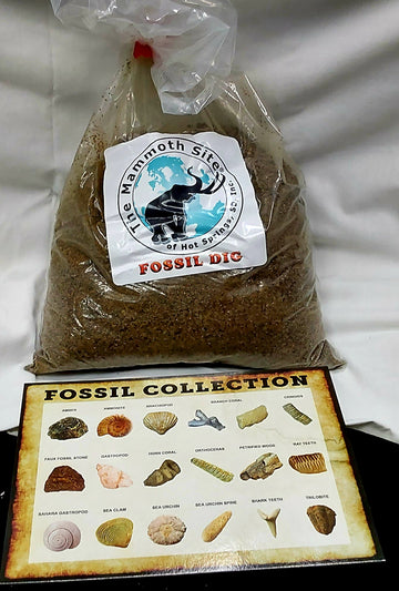 Fossil Dig 5 lb. Bag Red
