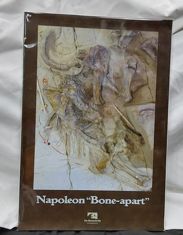 Napolean Poster