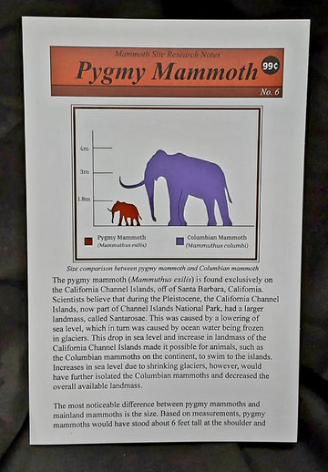 Research Notes #6 Pygmy Mammoth