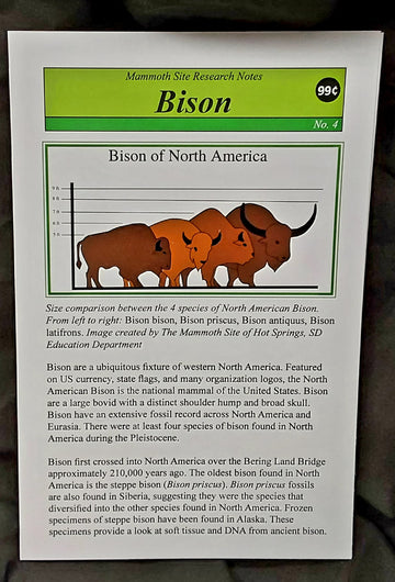Research Notes #4 Bison