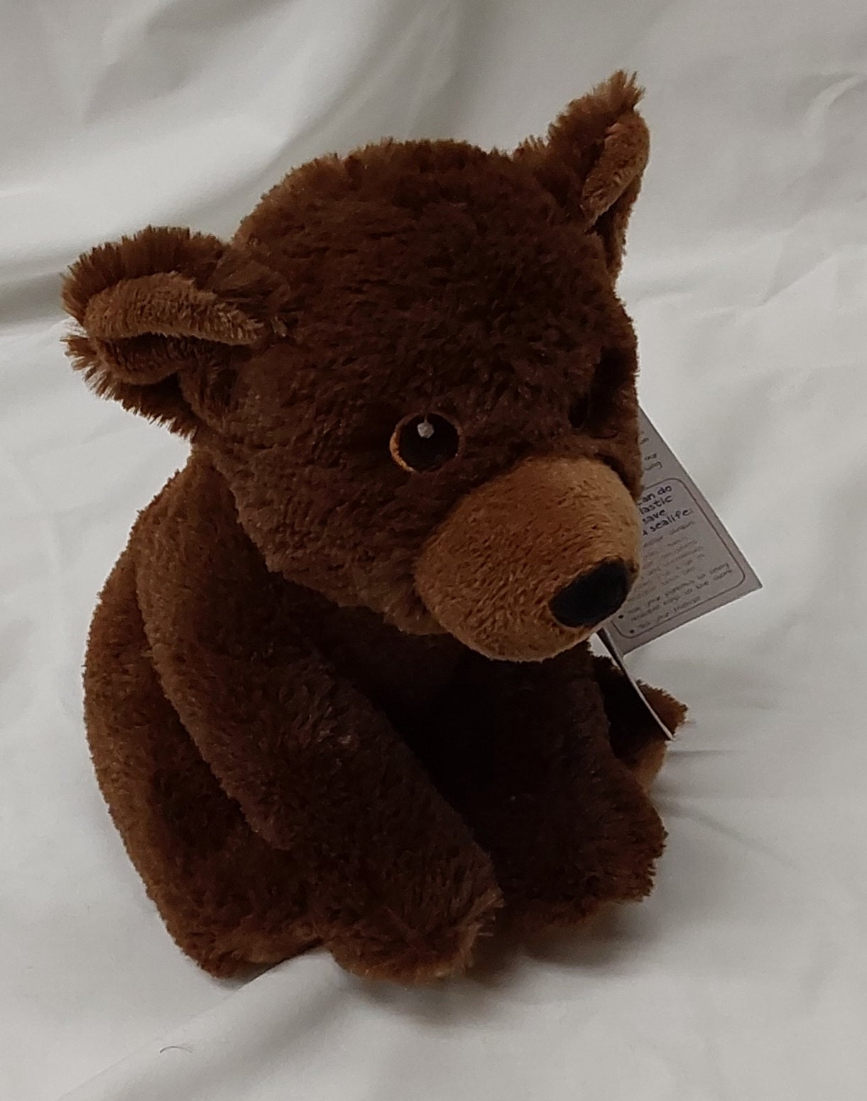 Grizzly Bear 9" ECP-2990GZ