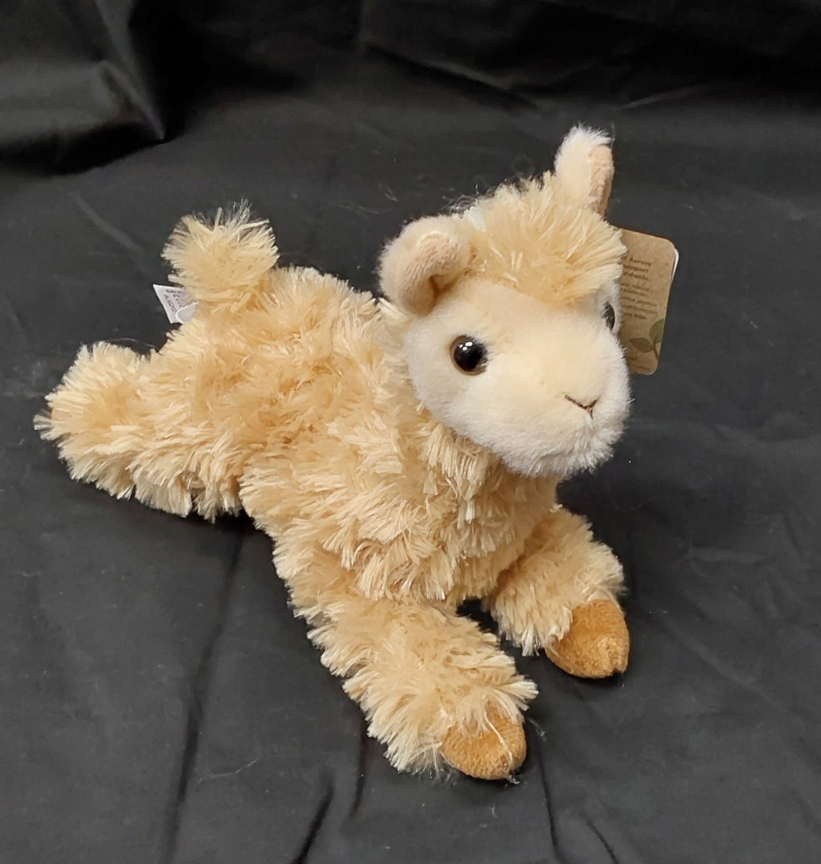 31828 8" Louis Llama