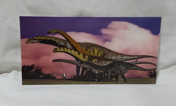 AC0990 Sauropods Postcard