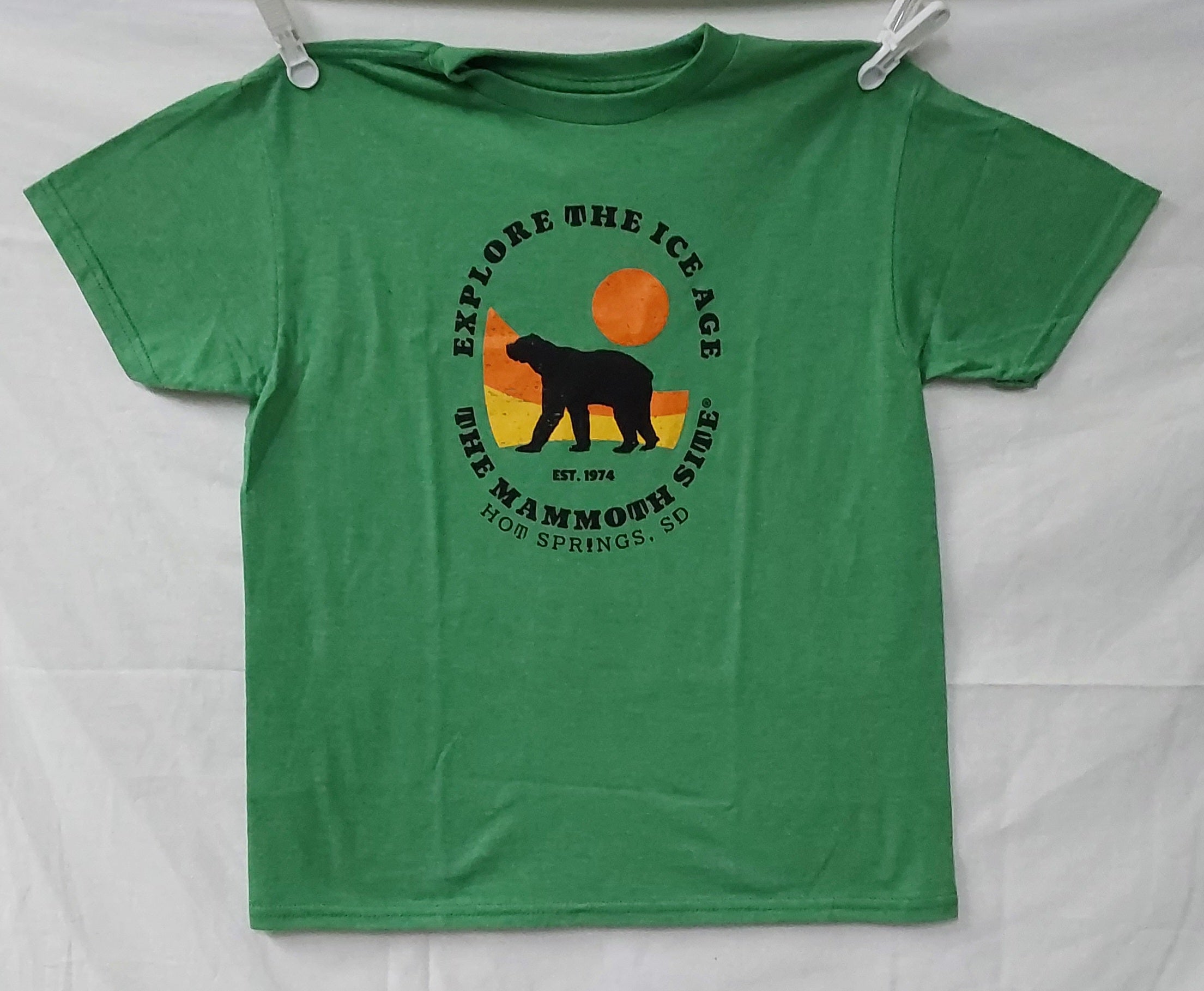 Explore Ice Age GSB 7843 Youth T-Shirt