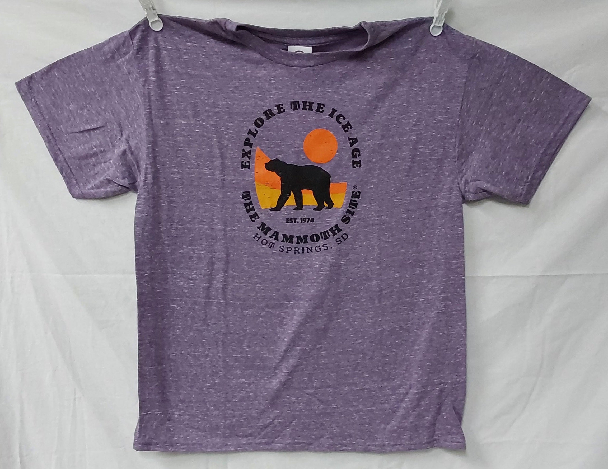 Explore Ice Age GSB 7843 Youth T-Shirt