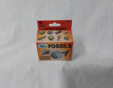 Fossils Dig Kit G2001
