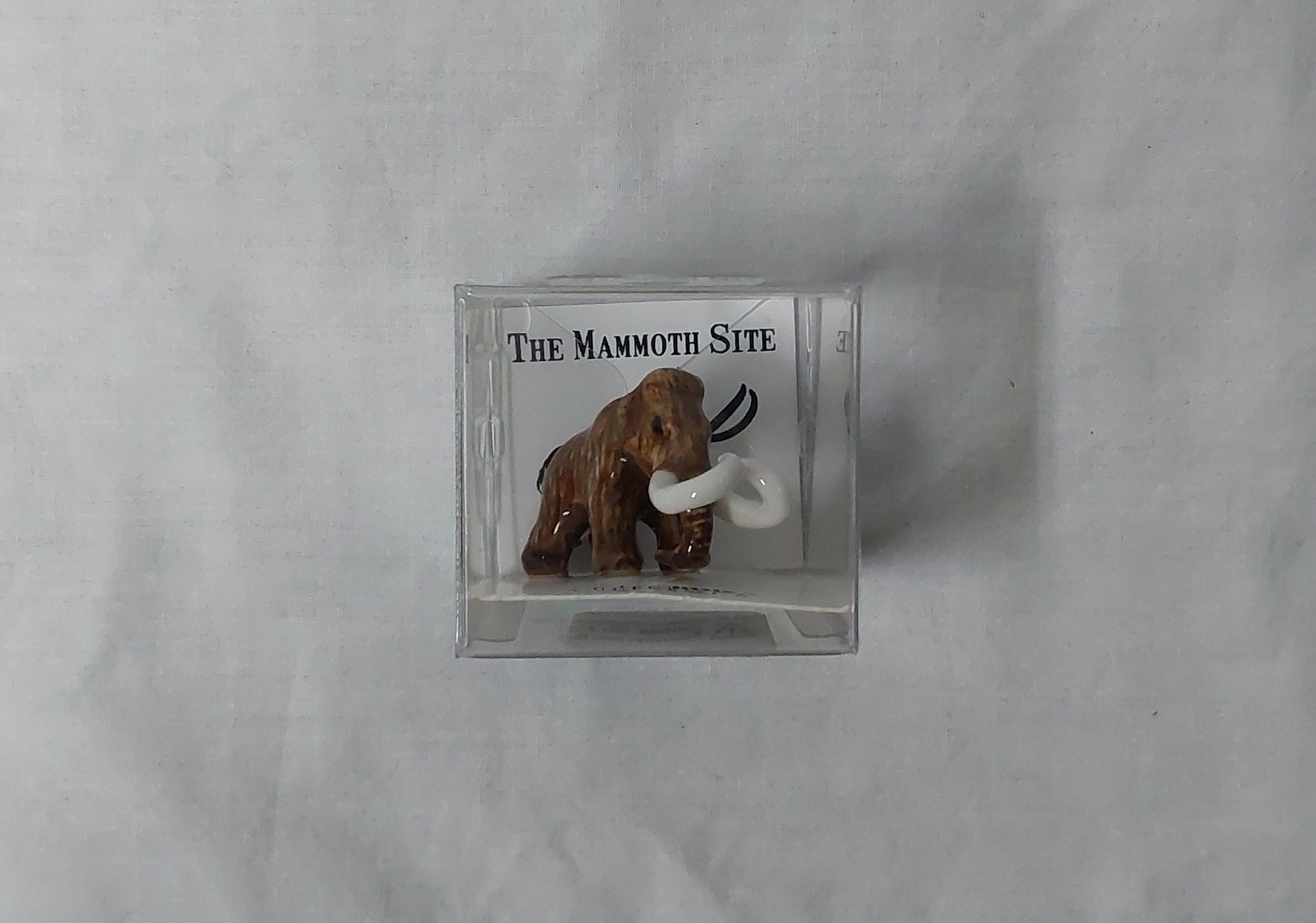 LC505 Lyuba Woolly Mammoth