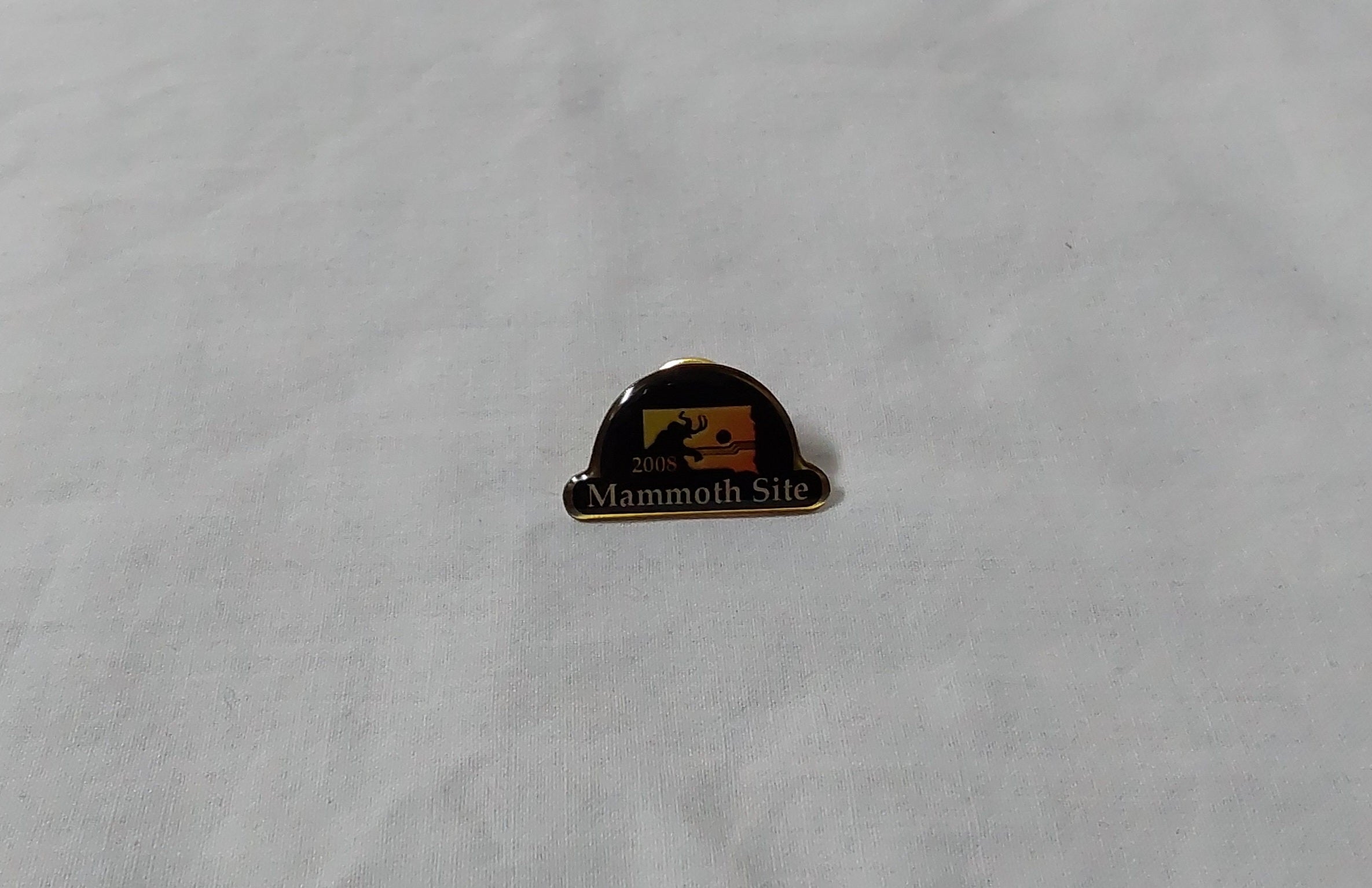 2008 Membership Pin Black State