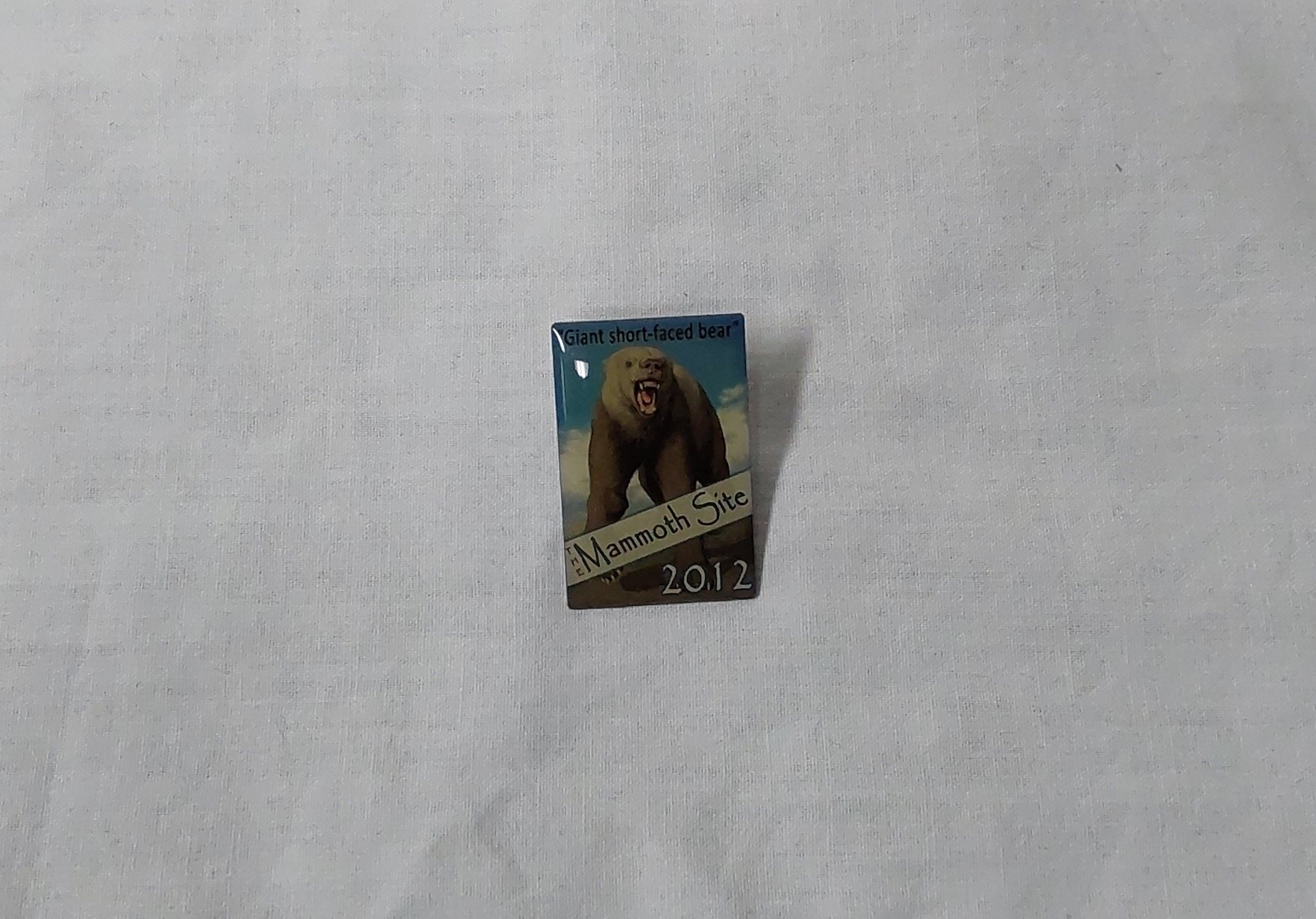 2012 Membership Pin GSF Bear