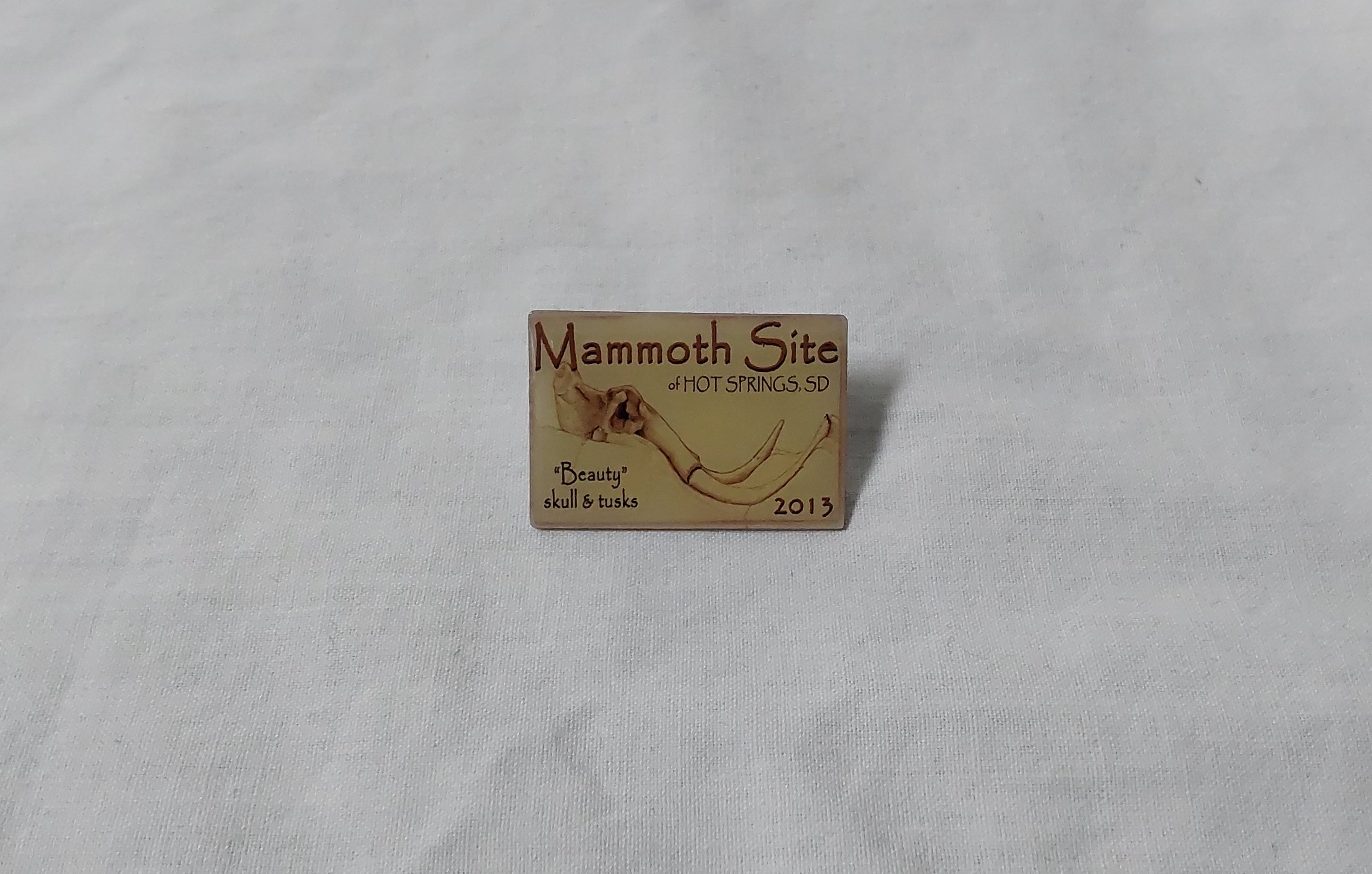 2013 Membership Pin Beauty Drawing