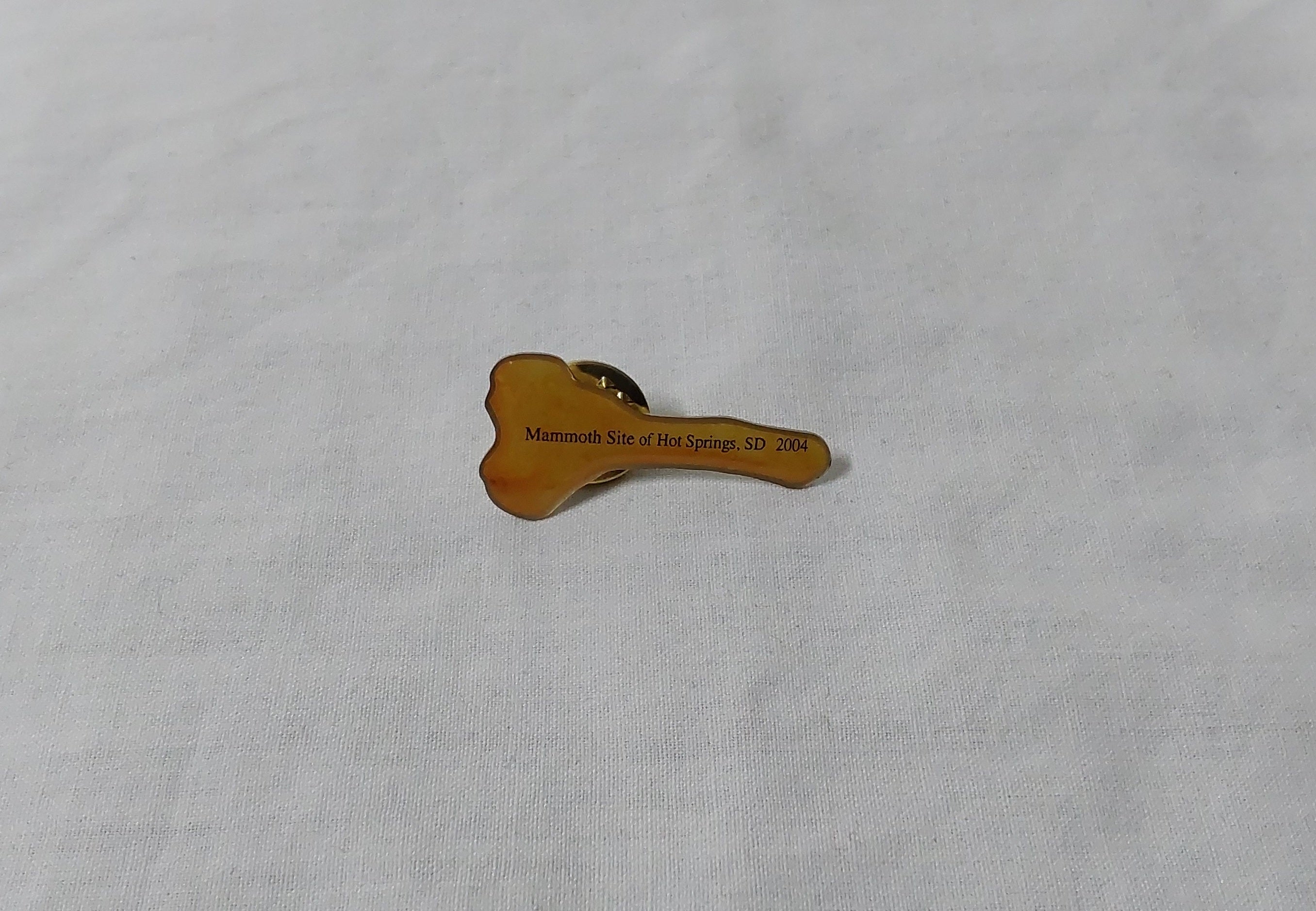 2004 Membership Pin American Lion