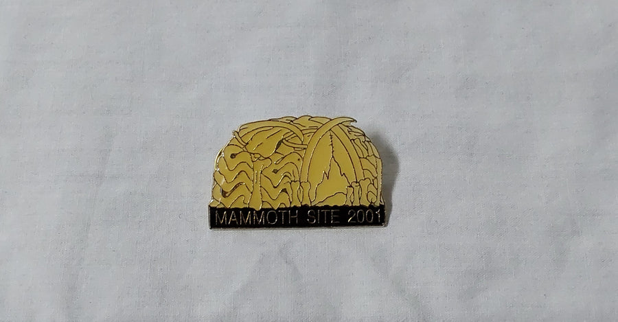 2001 Membership Pin Bonehut