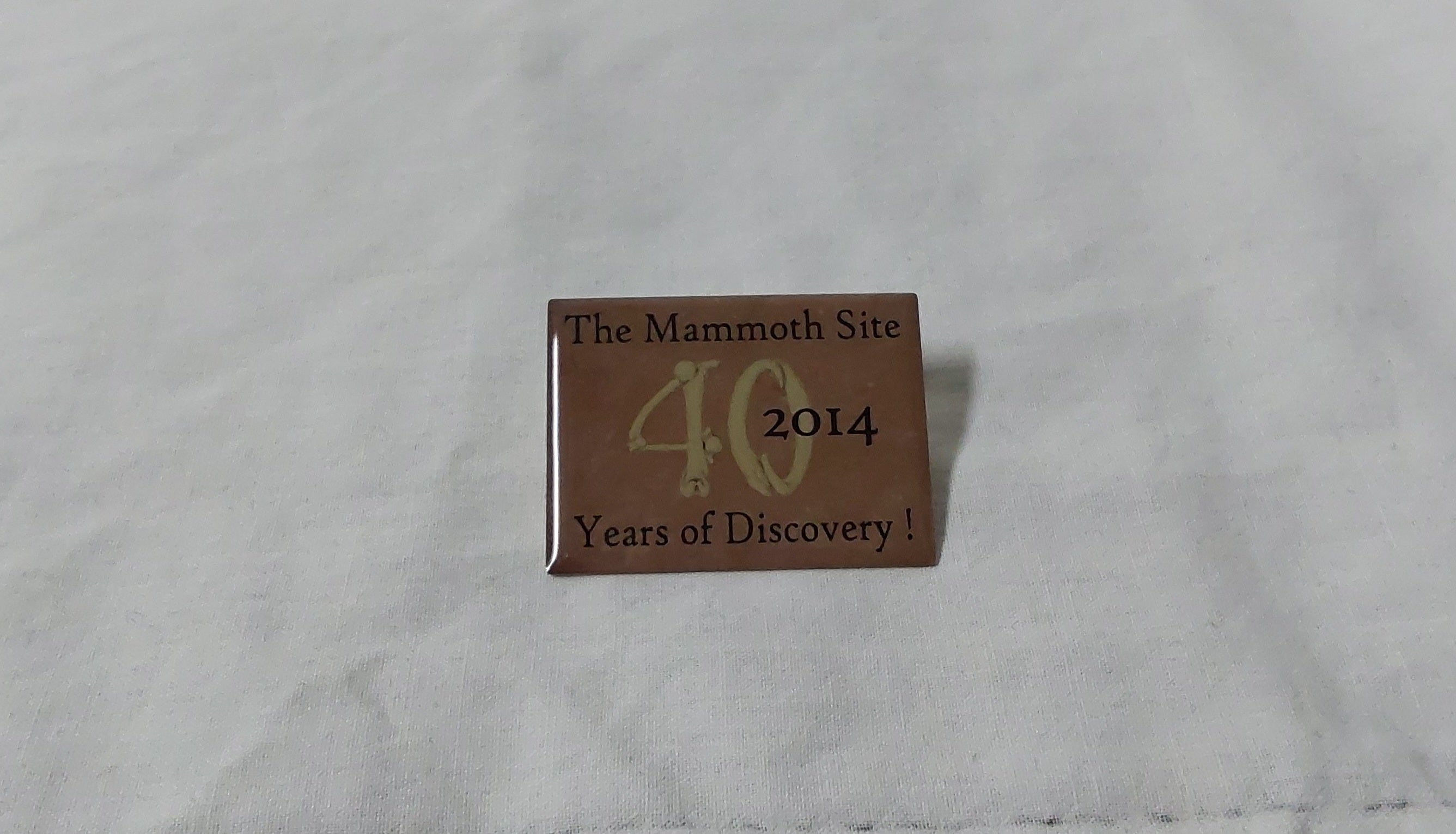 2014 Membership Pin 40th