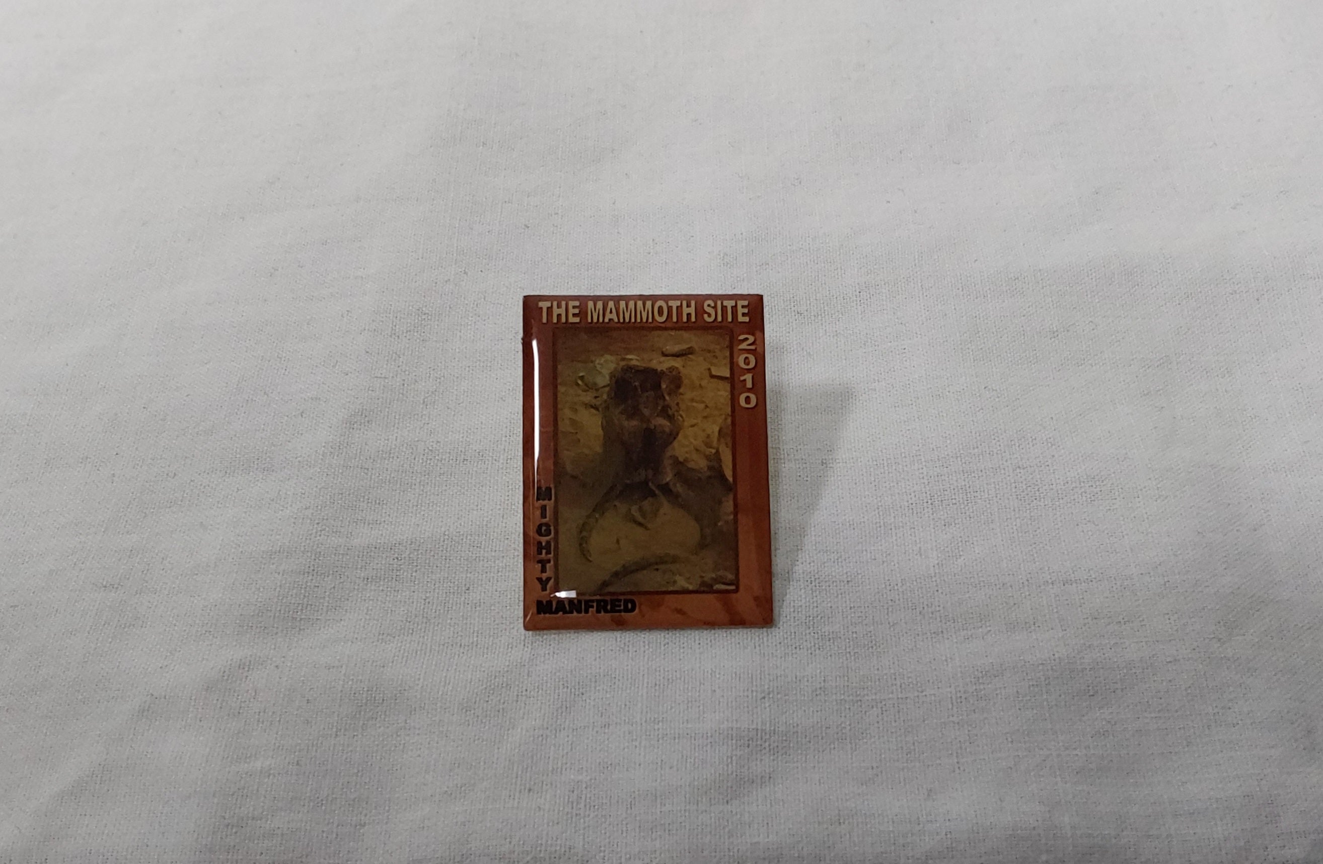 2010 Membership Pin Mighty Manfred