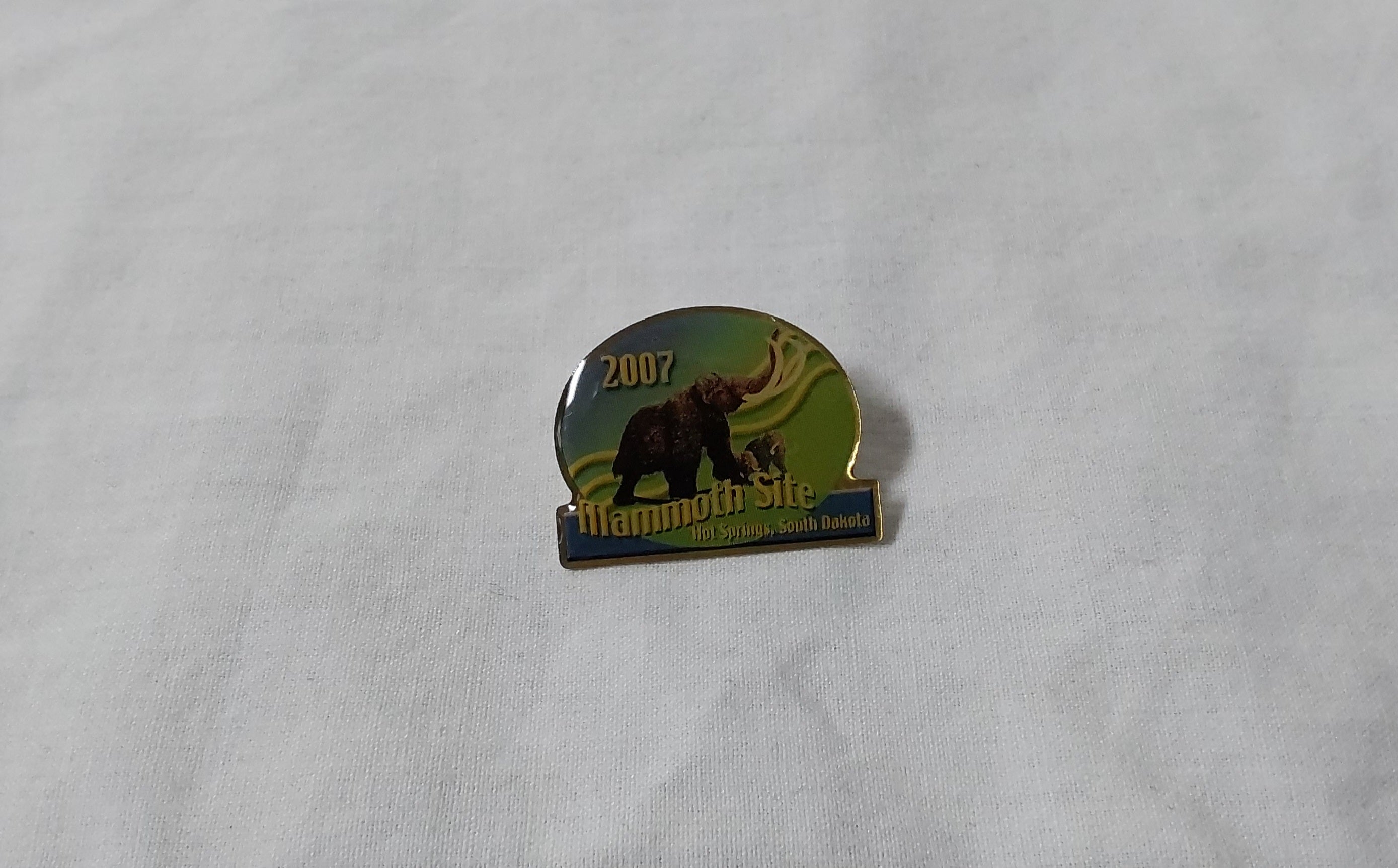 2007 Membership Pin Woolly Blue Green