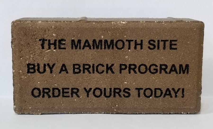 Buy A Brick